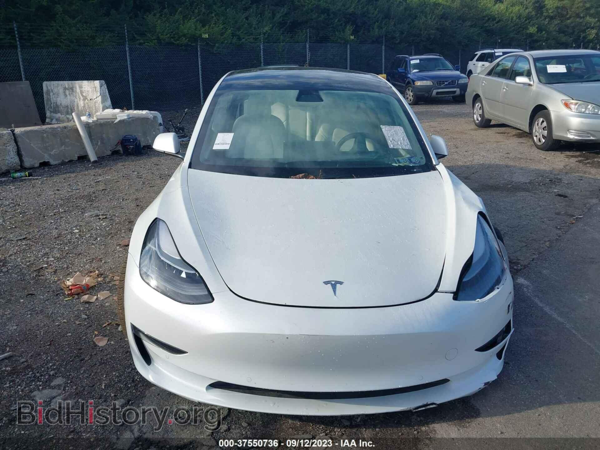 2021 TESLA MODEL 3 - VIN: 5YJ3E1EA8MF081939 - Photo 10