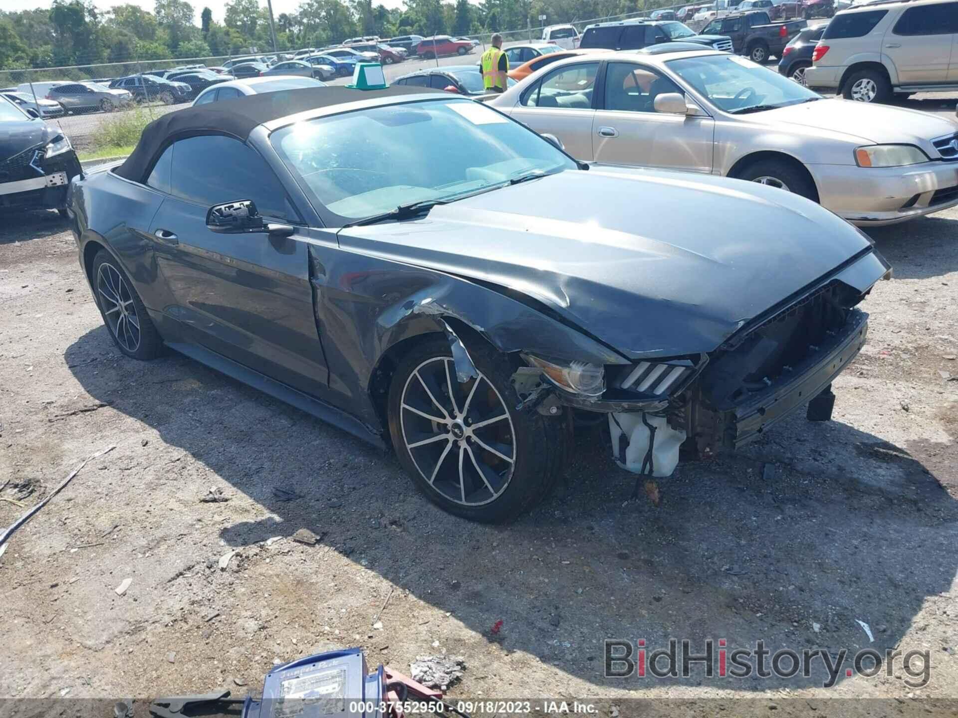 Photo 1FATP8UH5H5246909 - FORD MUSTANG 2017