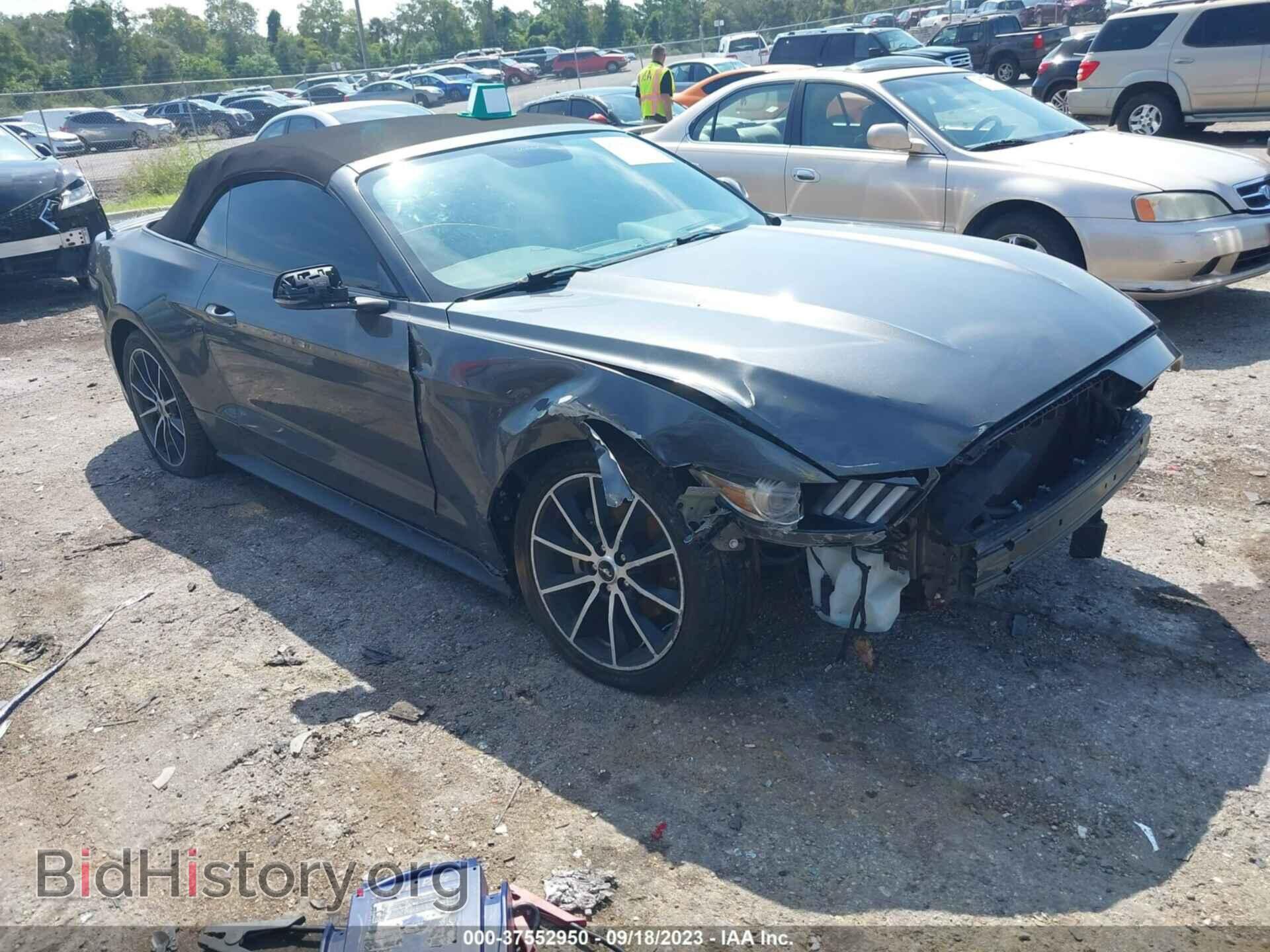 Фотография 1FATP8UH5H5246909 - FORD MUSTANG 2017
