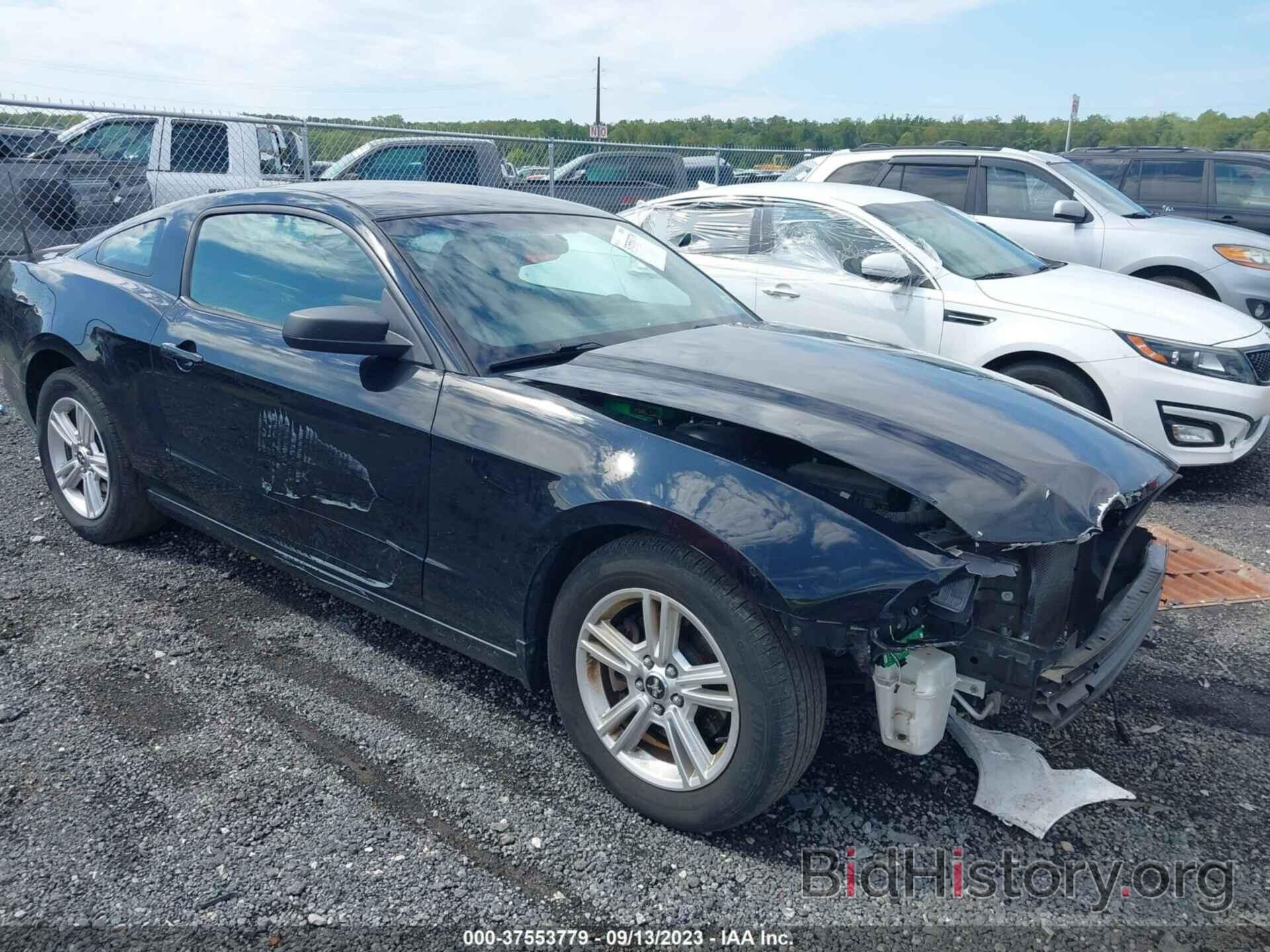 Photo 1ZVBP8AM2E5223944 - FORD MUSTANG 2014
