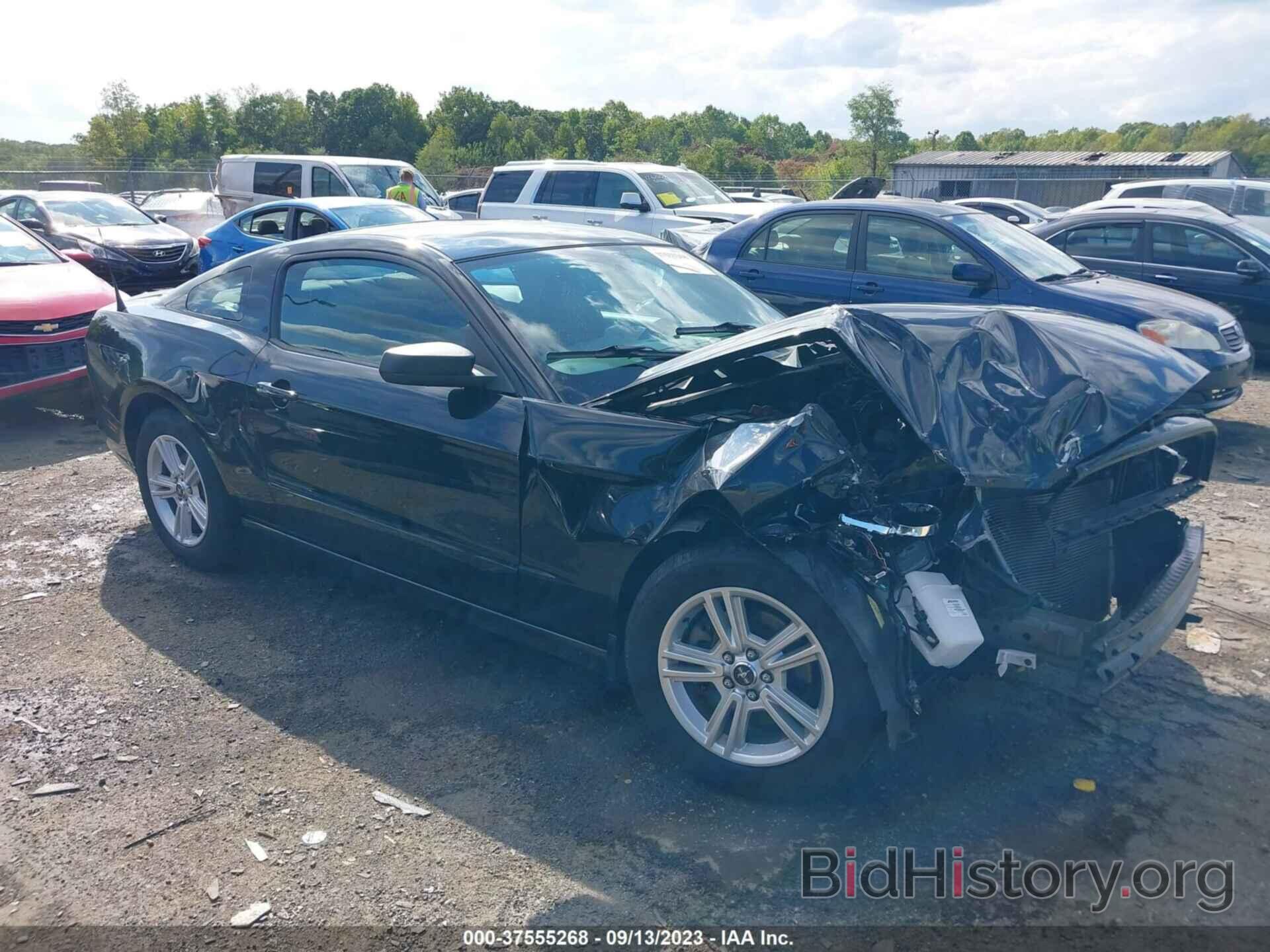 Photo 1ZVBP8AM7E5331119 - FORD MUSTANG 2014