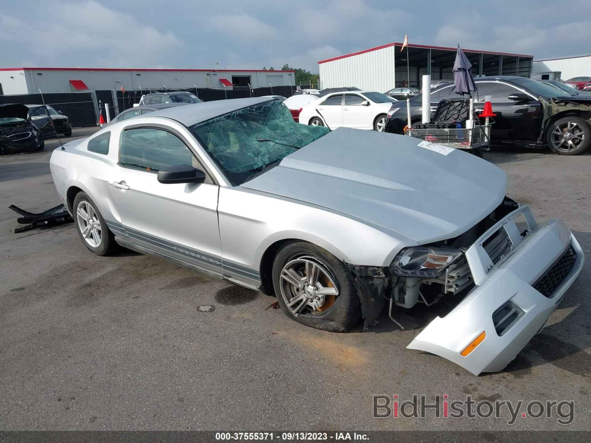 Photo 1ZVBP8AN2A5176711 - FORD MUSTANG 2010