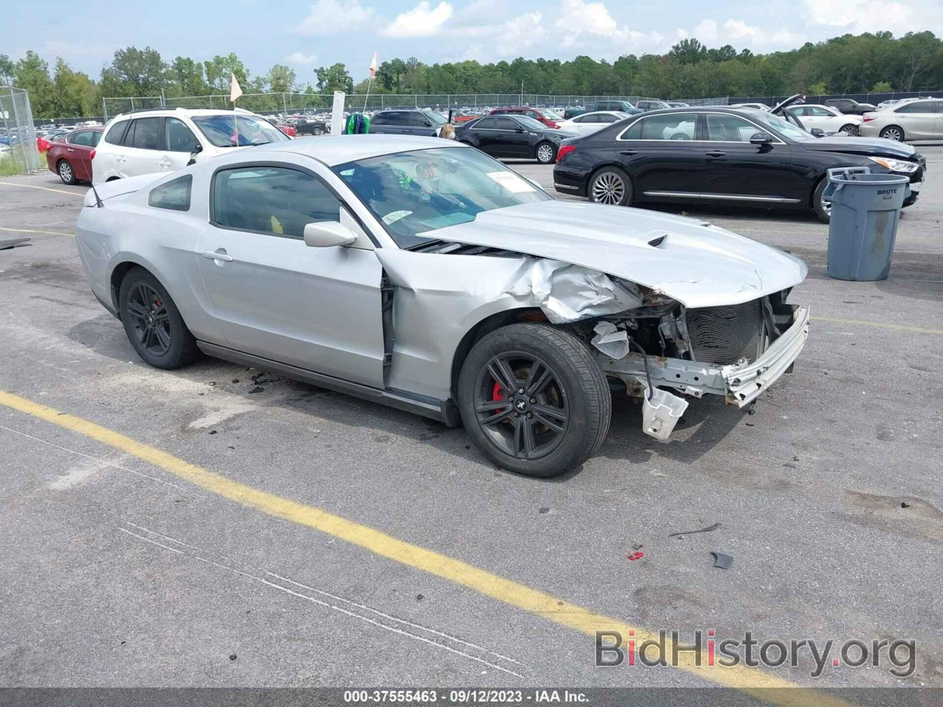 Photo 1ZVBP8AN3A5180041 - FORD MUSTANG 2010