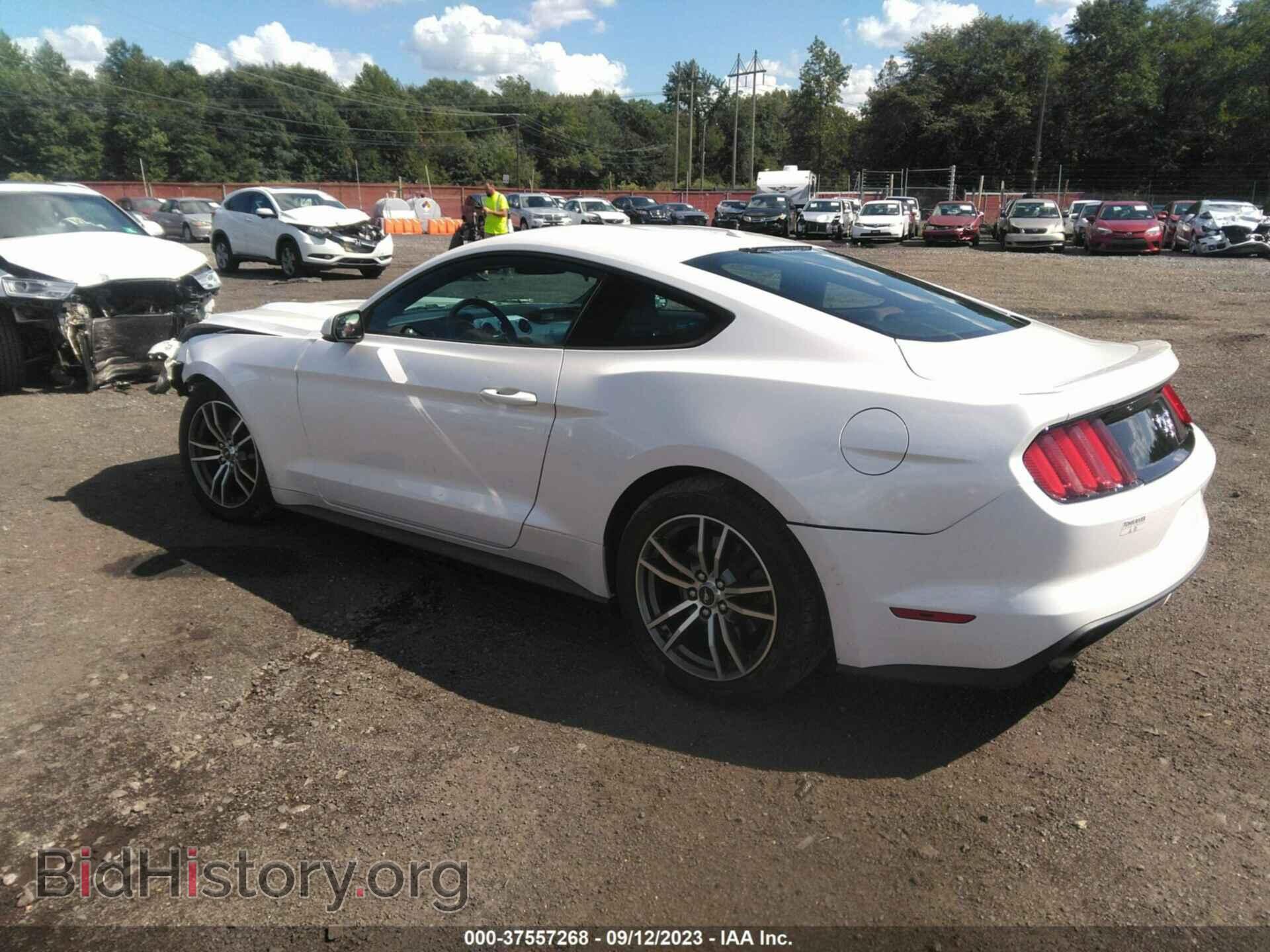 2017 FORD MUSTANG - VIN: 1FA6P8TH9H5358529 - Фото 3