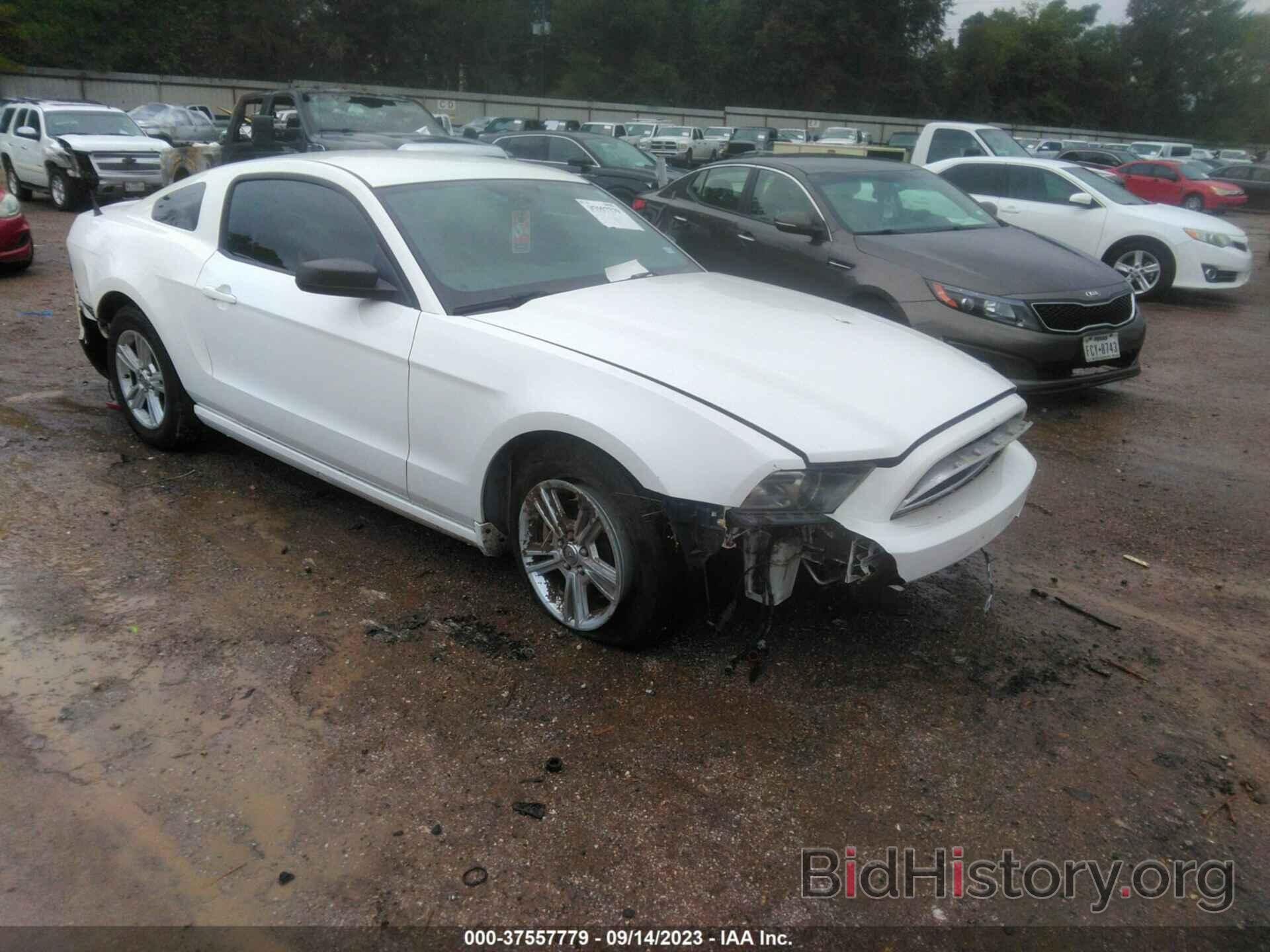 Photo 1ZVBP8AM0D5226680 - FORD MUSTANG 2013