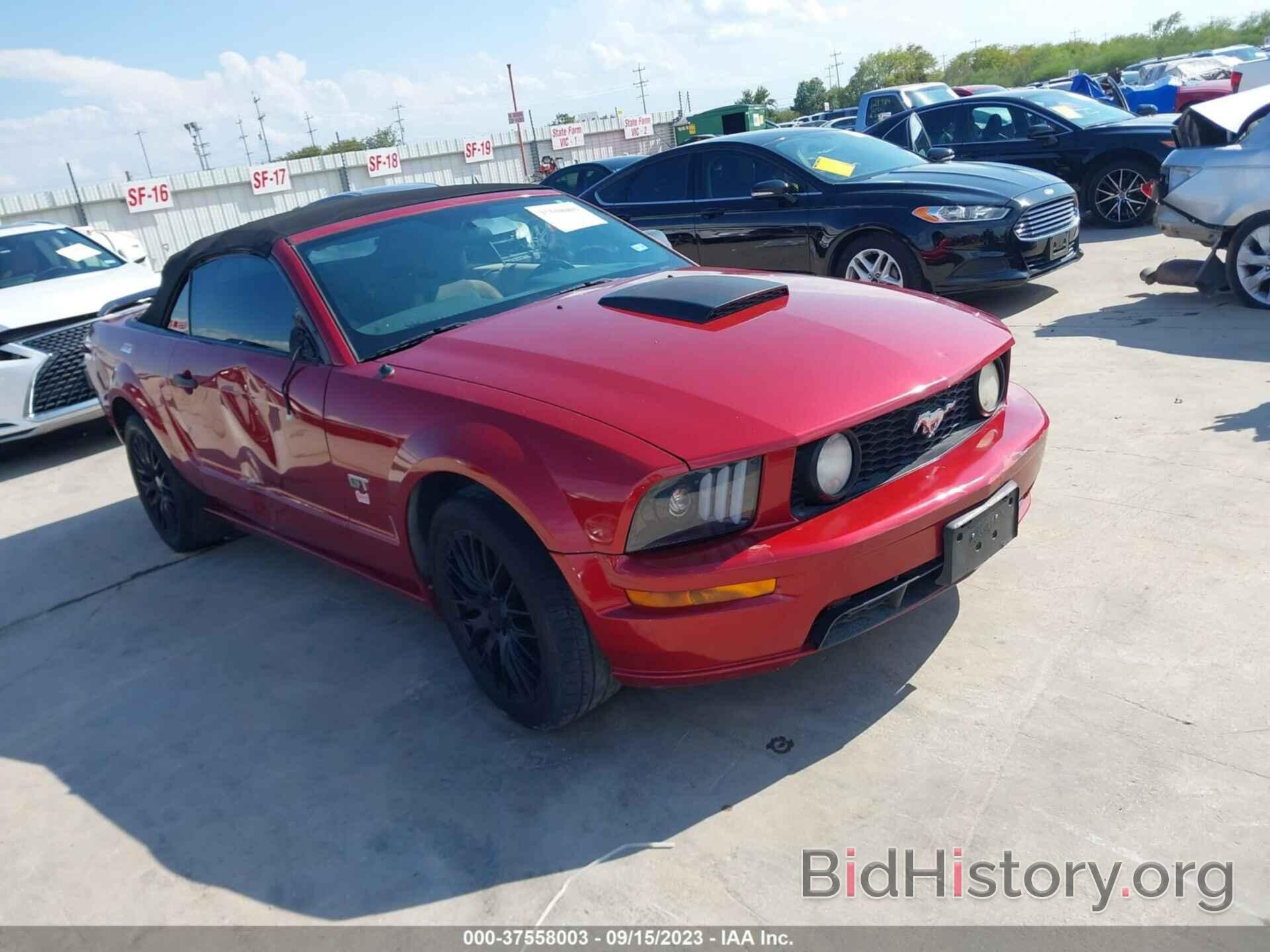 Photo 1ZVFT85HX75256218 - FORD MUSTANG 2007