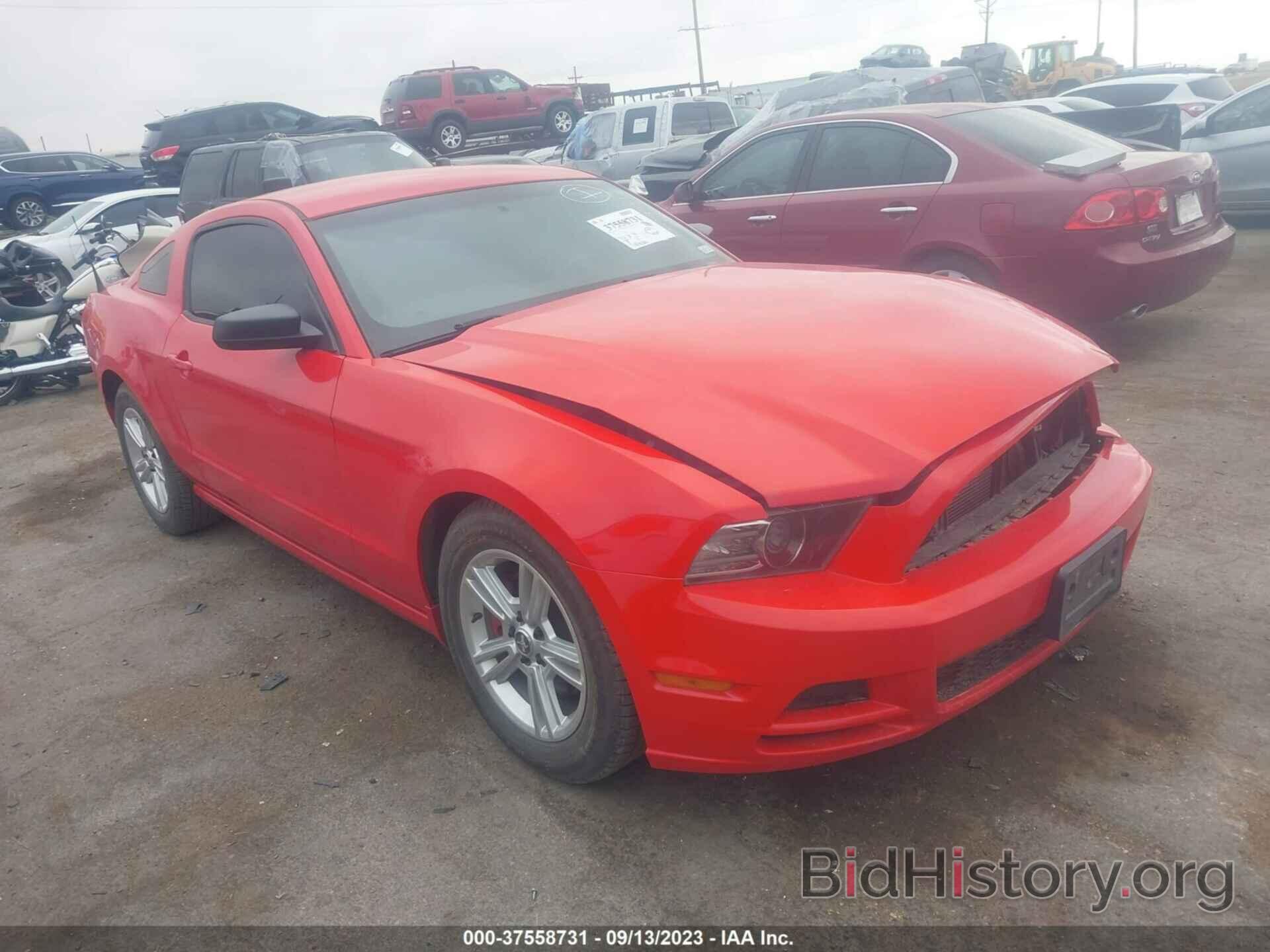Photo 1ZVBP8AM3E5320604 - FORD MUSTANG 2014