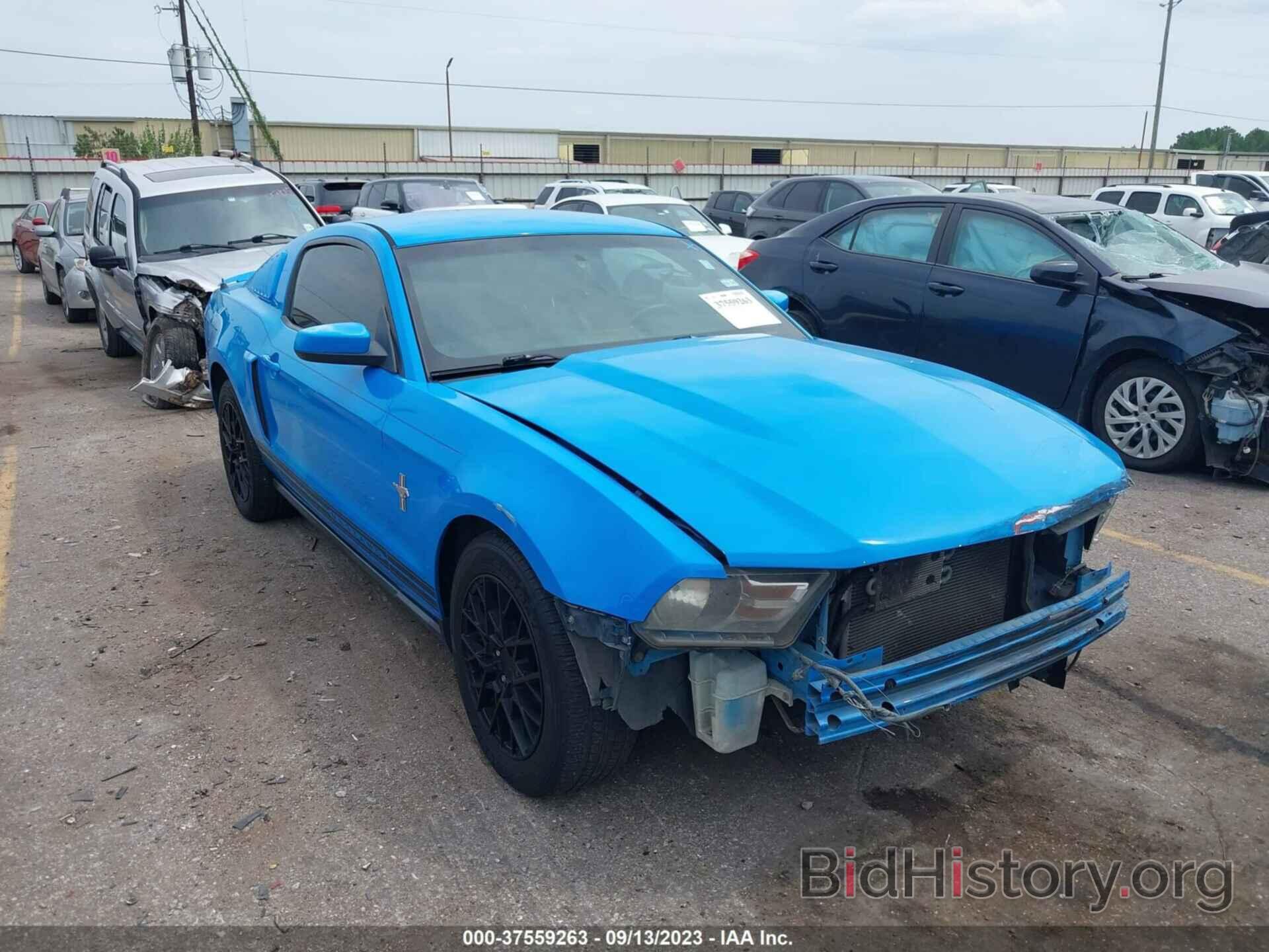 Photo 1ZVBP8AN7A5144062 - FORD MUSTANG 2010