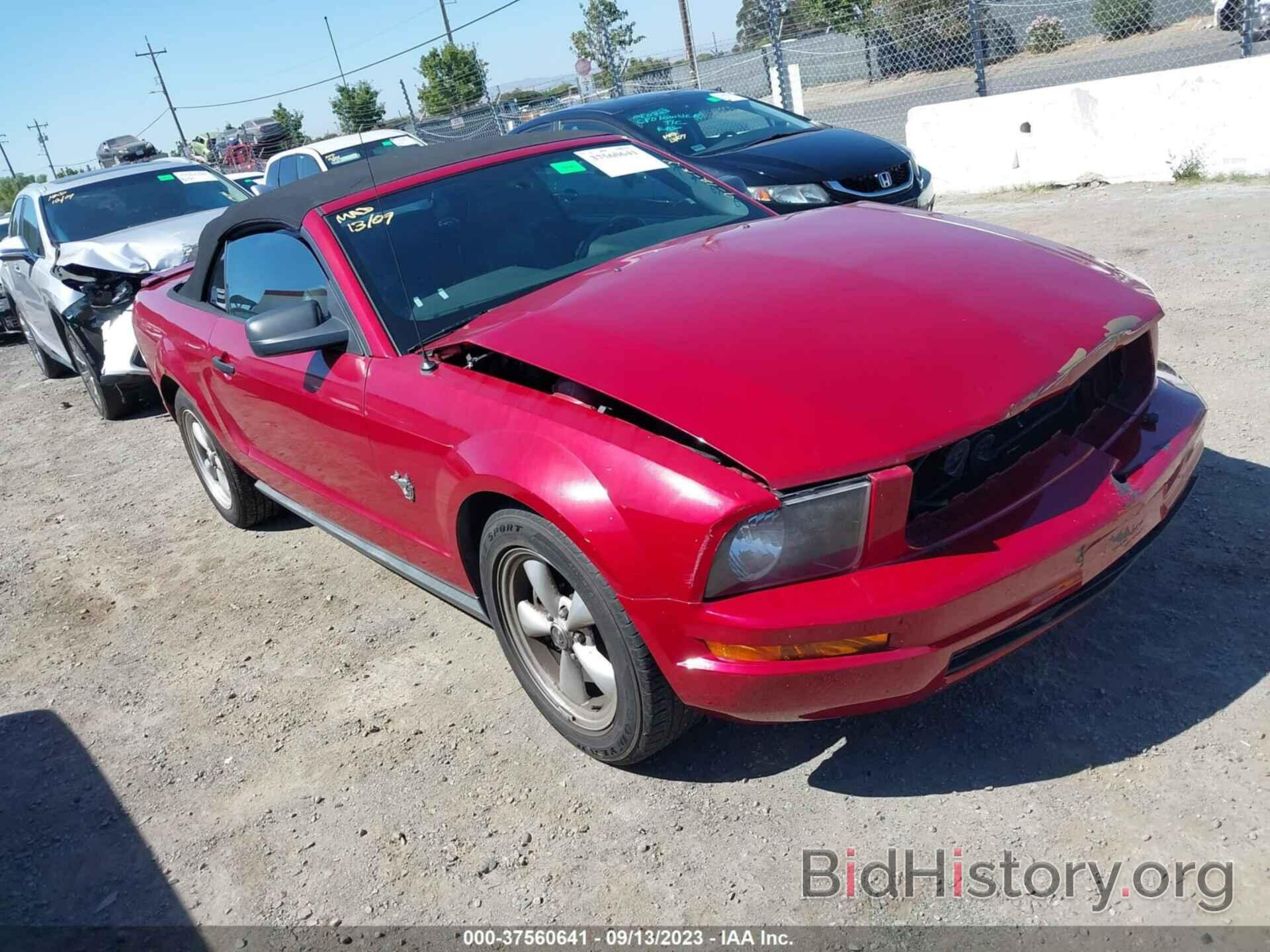 Photo 1ZVHT84NX95119816 - FORD MUSTANG 2009