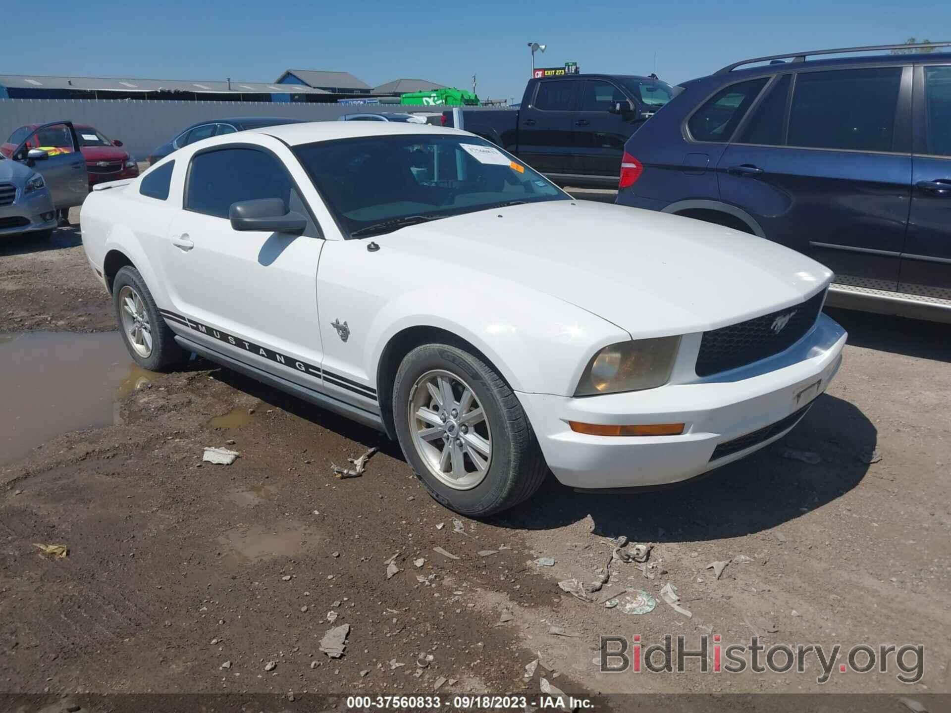 Photo 1ZVHT80N595110964 - FORD MUSTANG 2009