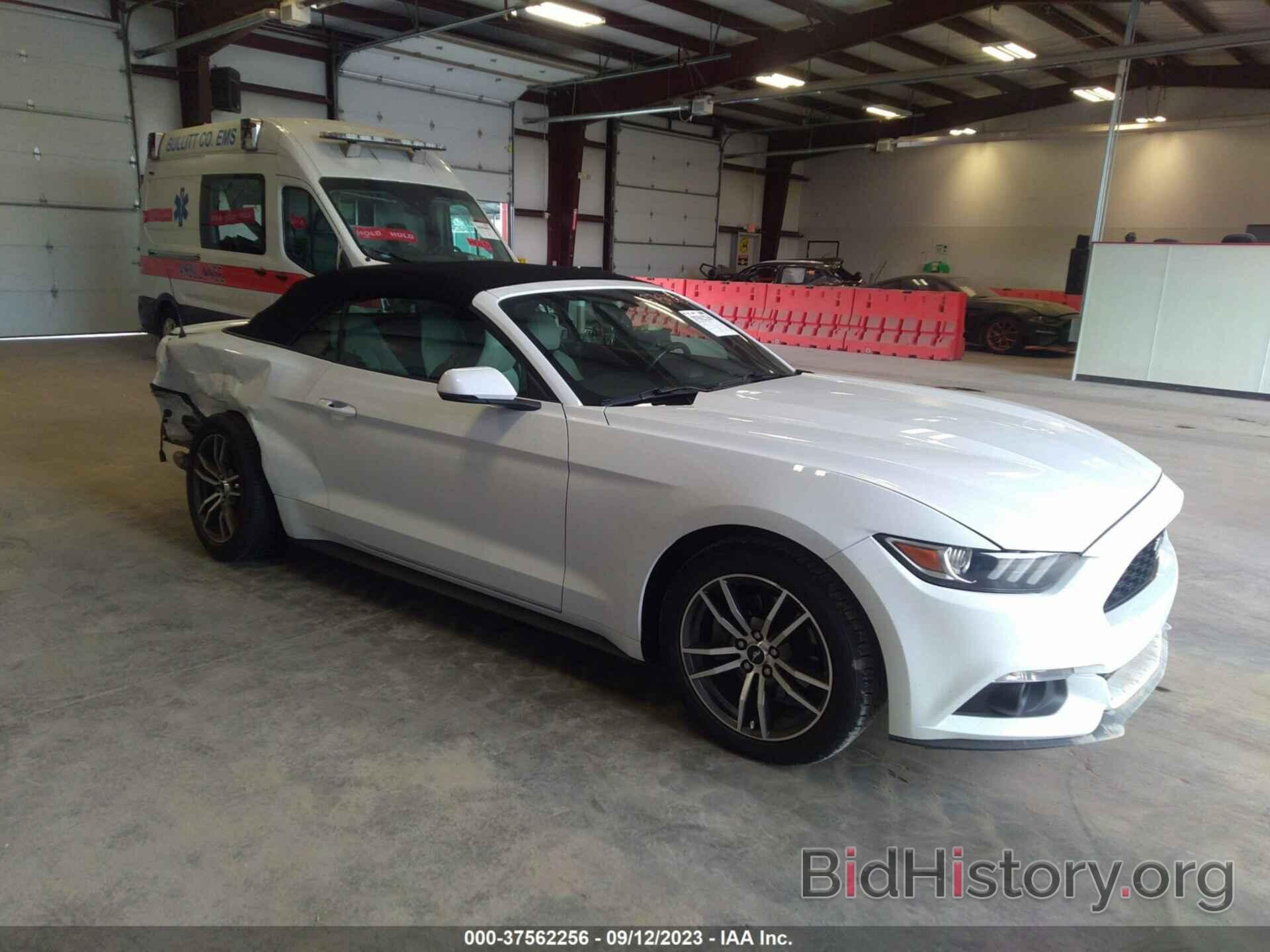 Photo 1FATP8UH2H5293623 - FORD MUSTANG 2017