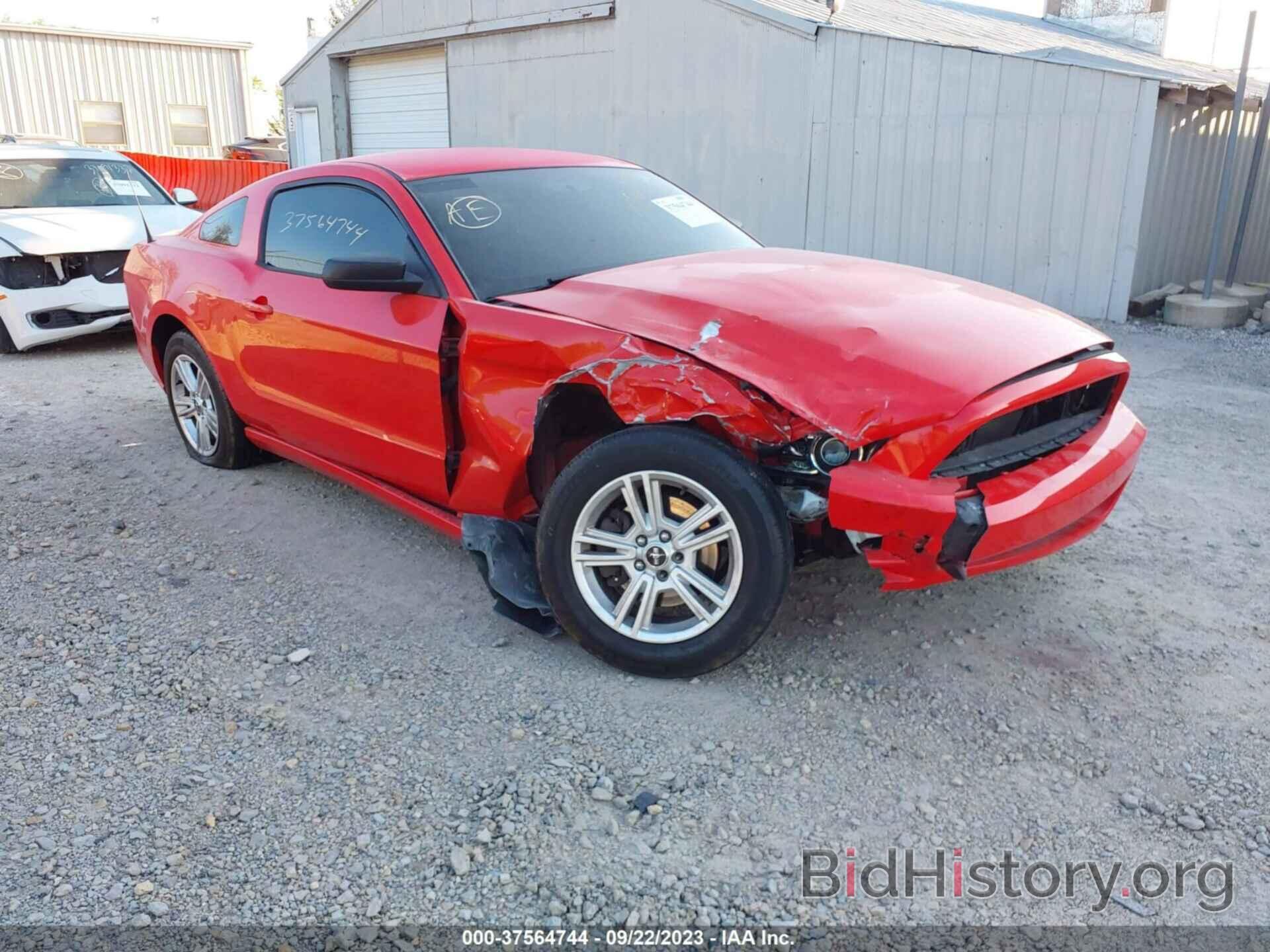 Photo 1ZVBP8AM0D5278570 - FORD MUSTANG 2013