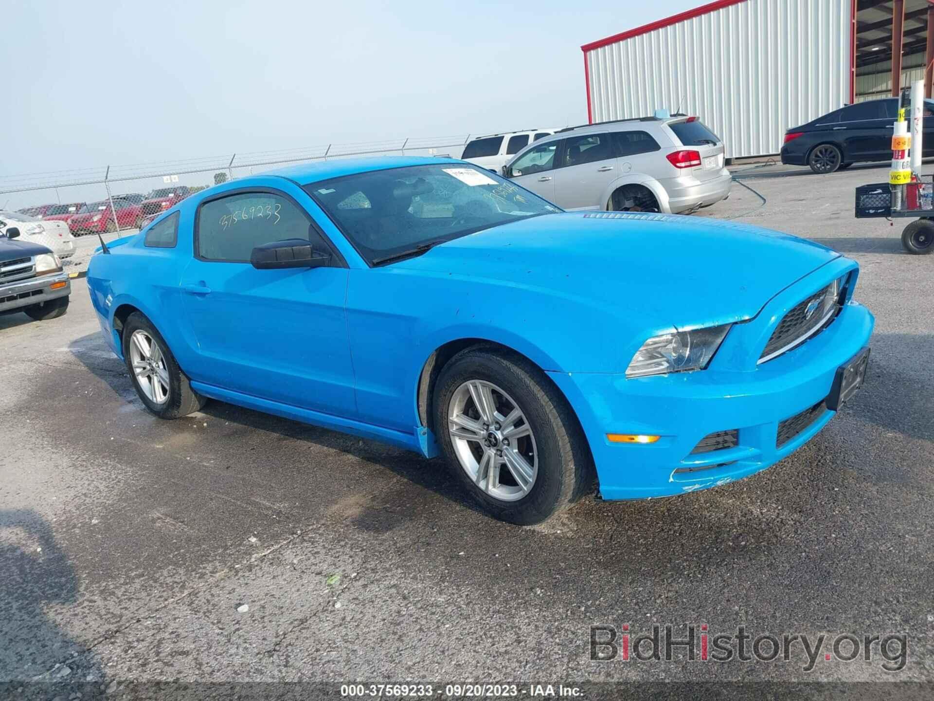 Photo 1ZVBP8AM0D5218935 - FORD MUSTANG 2013