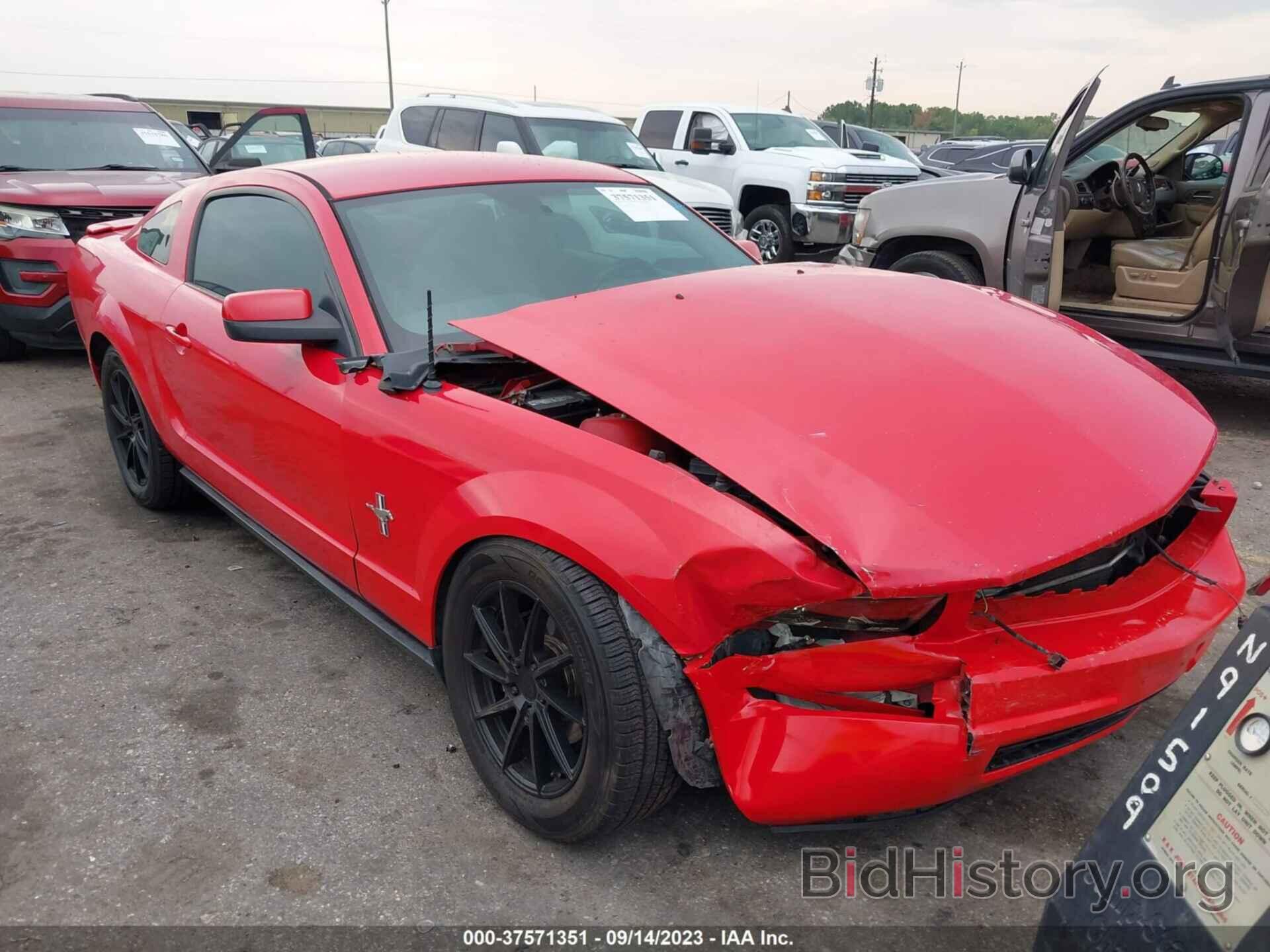 Photo 1ZVHT80N385122660 - FORD MUSTANG 2008