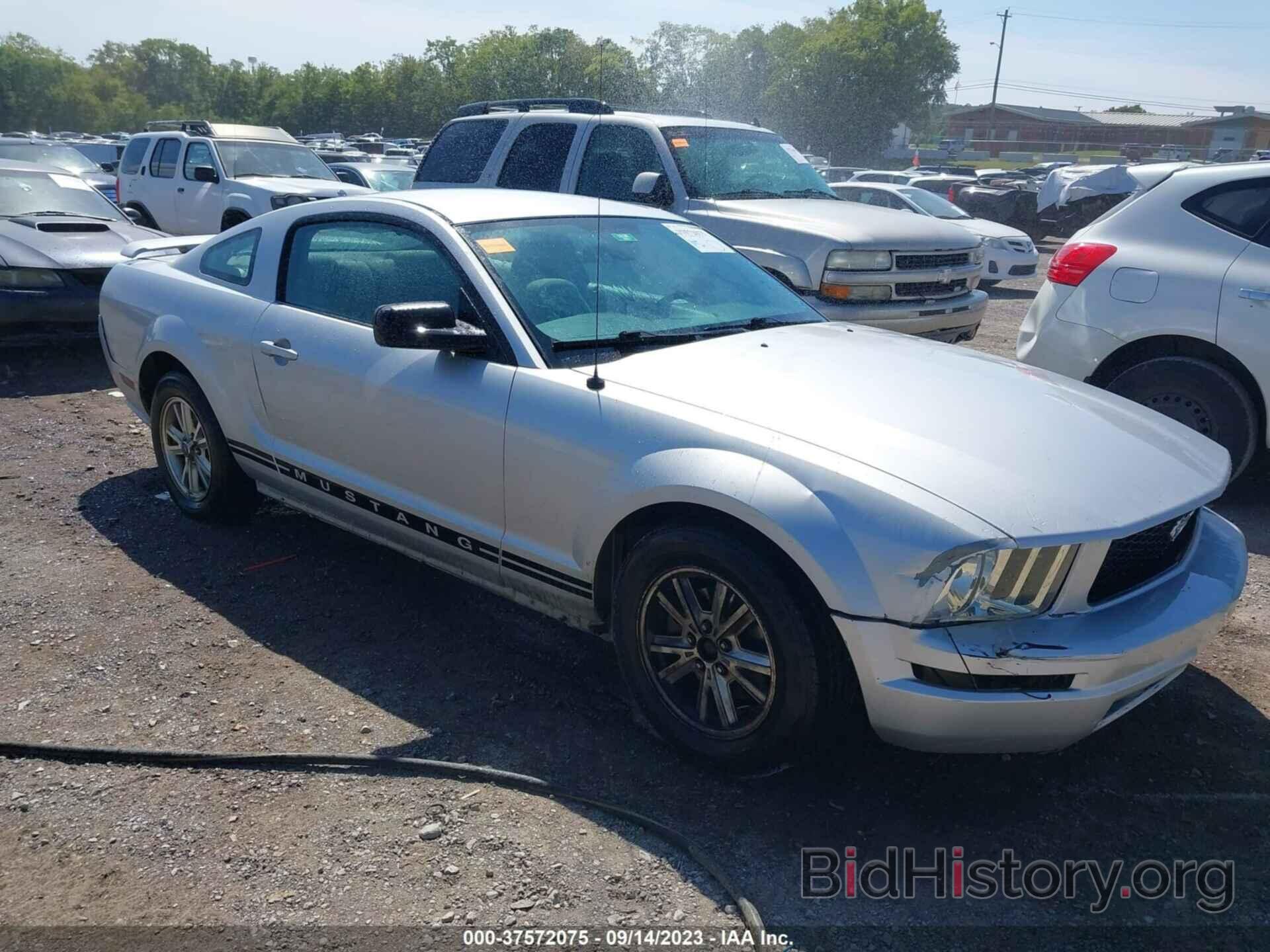 Photo 1ZVFT80N365158157 - FORD MUSTANG 2006