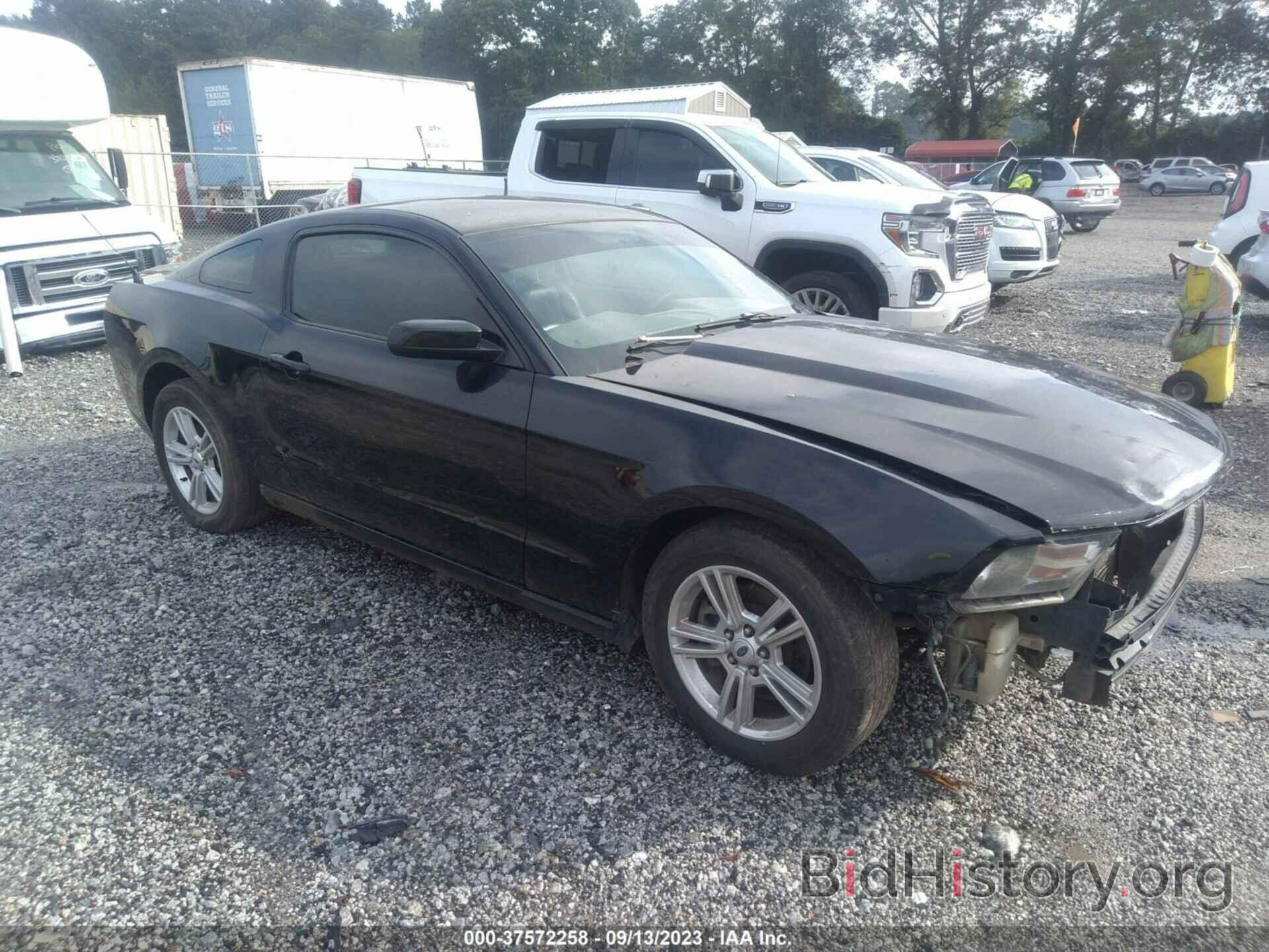 Photo 1ZVBP8AM3C5239387 - FORD MUSTANG 2012