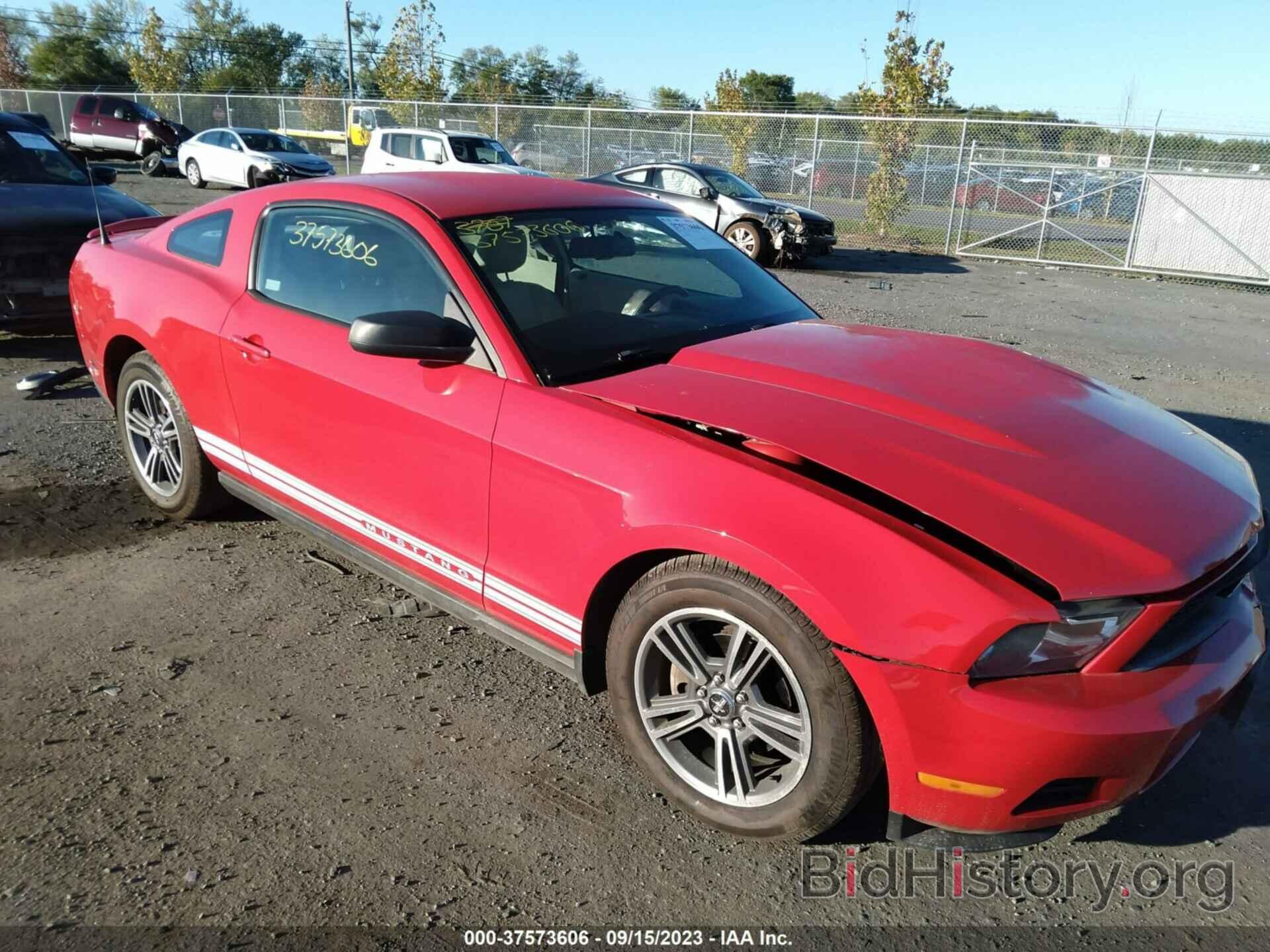Photo 1ZVBP8AN0A5128480 - FORD MUSTANG 2010