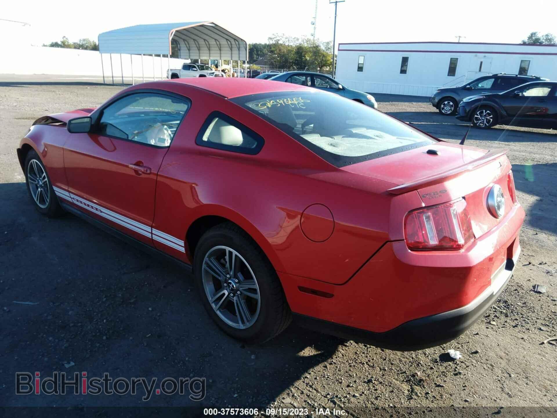 2010 FORD MUSTANG - VIN: 1ZVBP8AN0A5128480 - Фото 3
