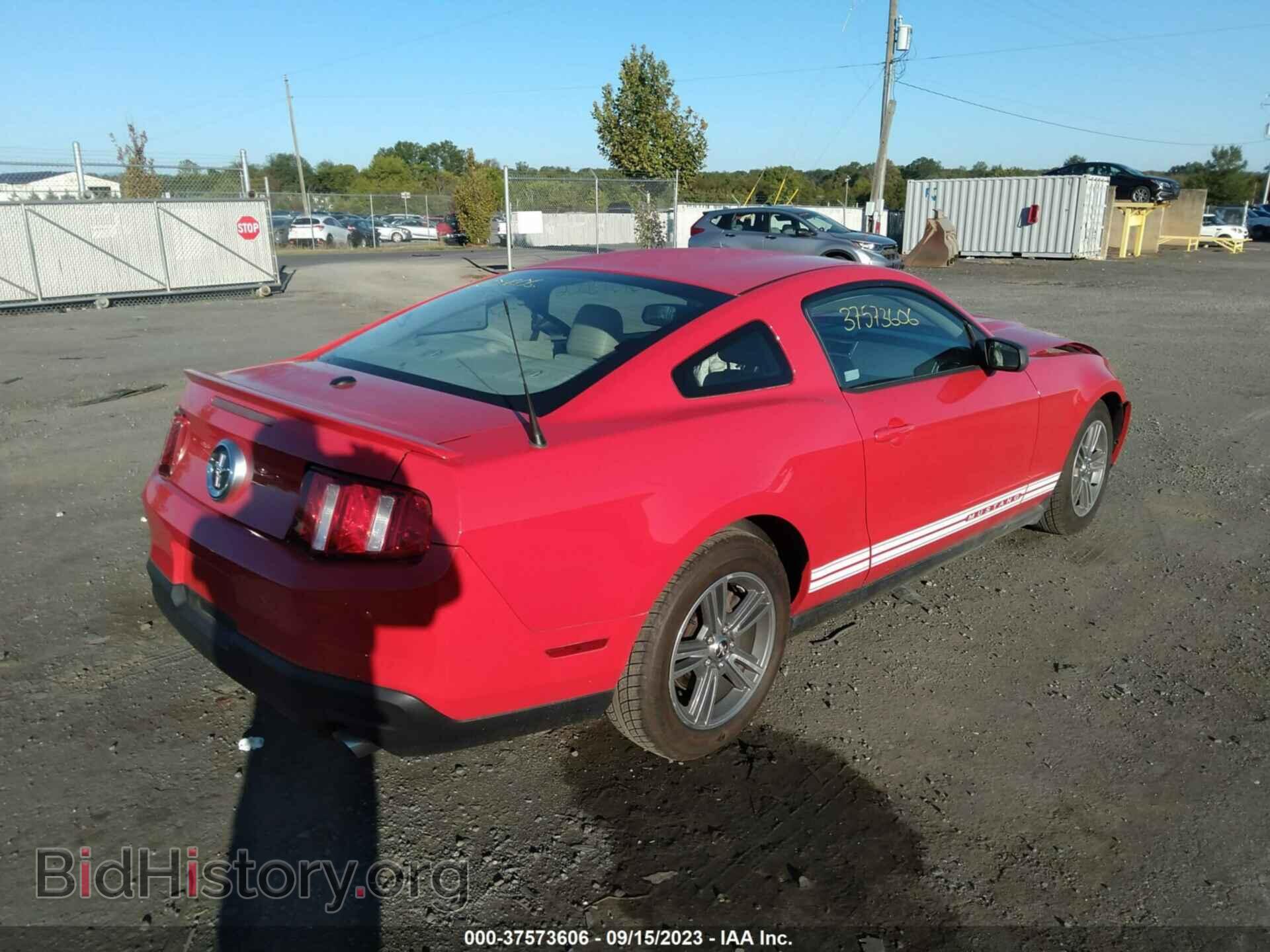2010 FORD MUSTANG - VIN: 1ZVBP8AN0A5128480 - Фото 4