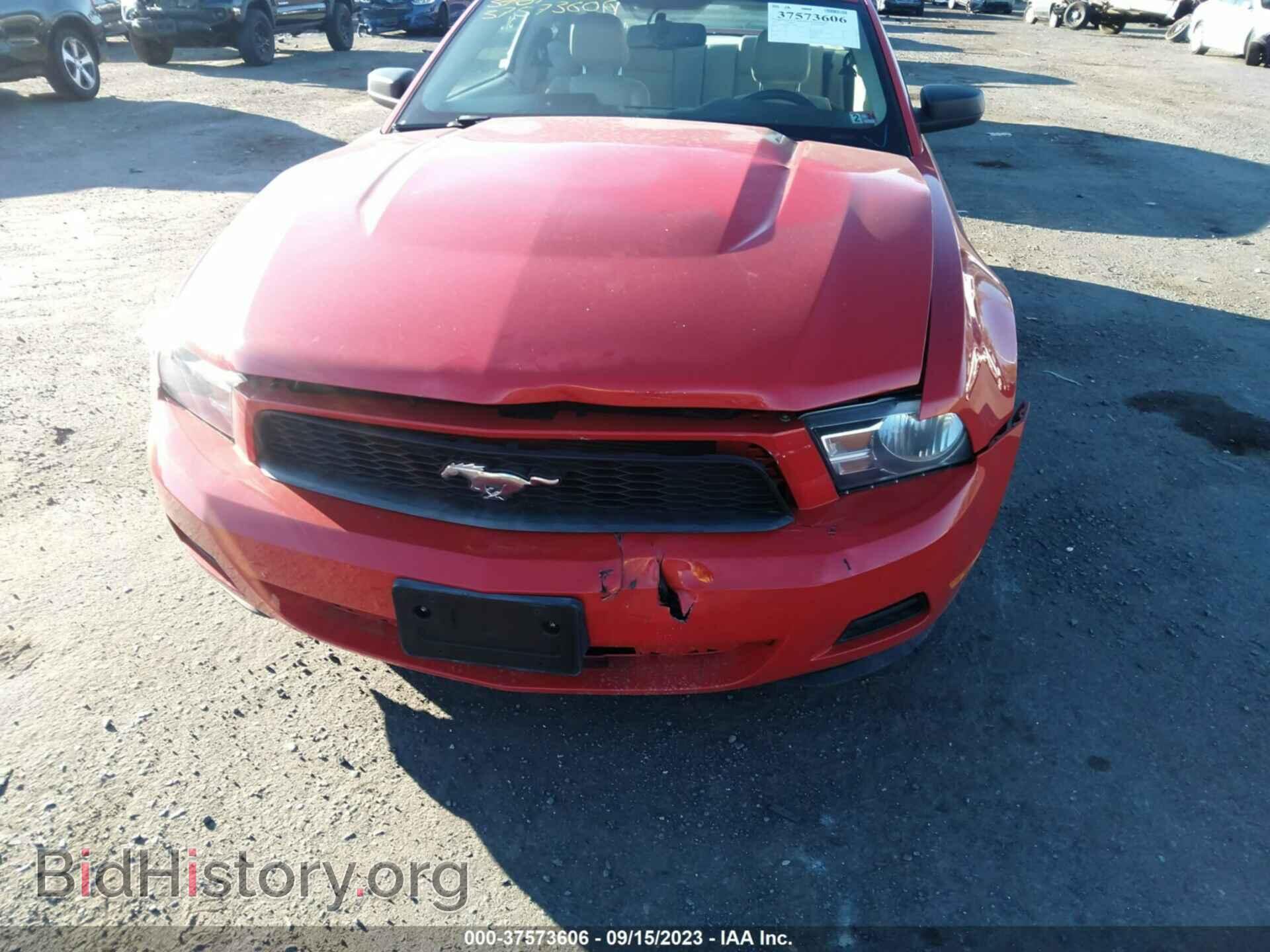 2010 FORD MUSTANG - VIN: 1ZVBP8AN0A5128480 - Фото 6