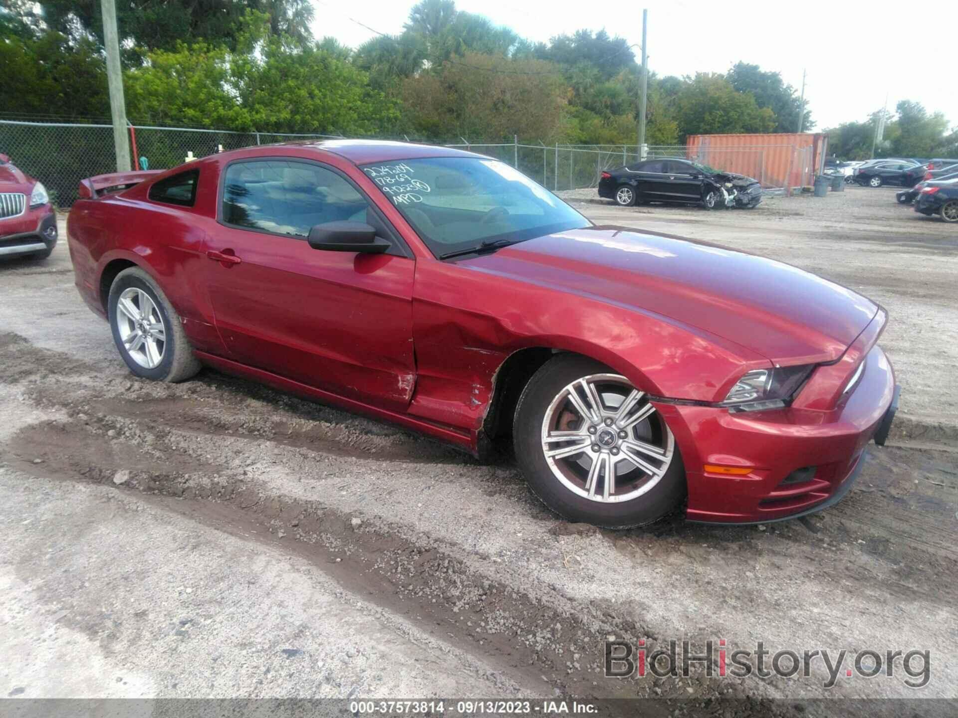 Photo 1ZVBP8AM8E5208669 - FORD MUSTANG 2014