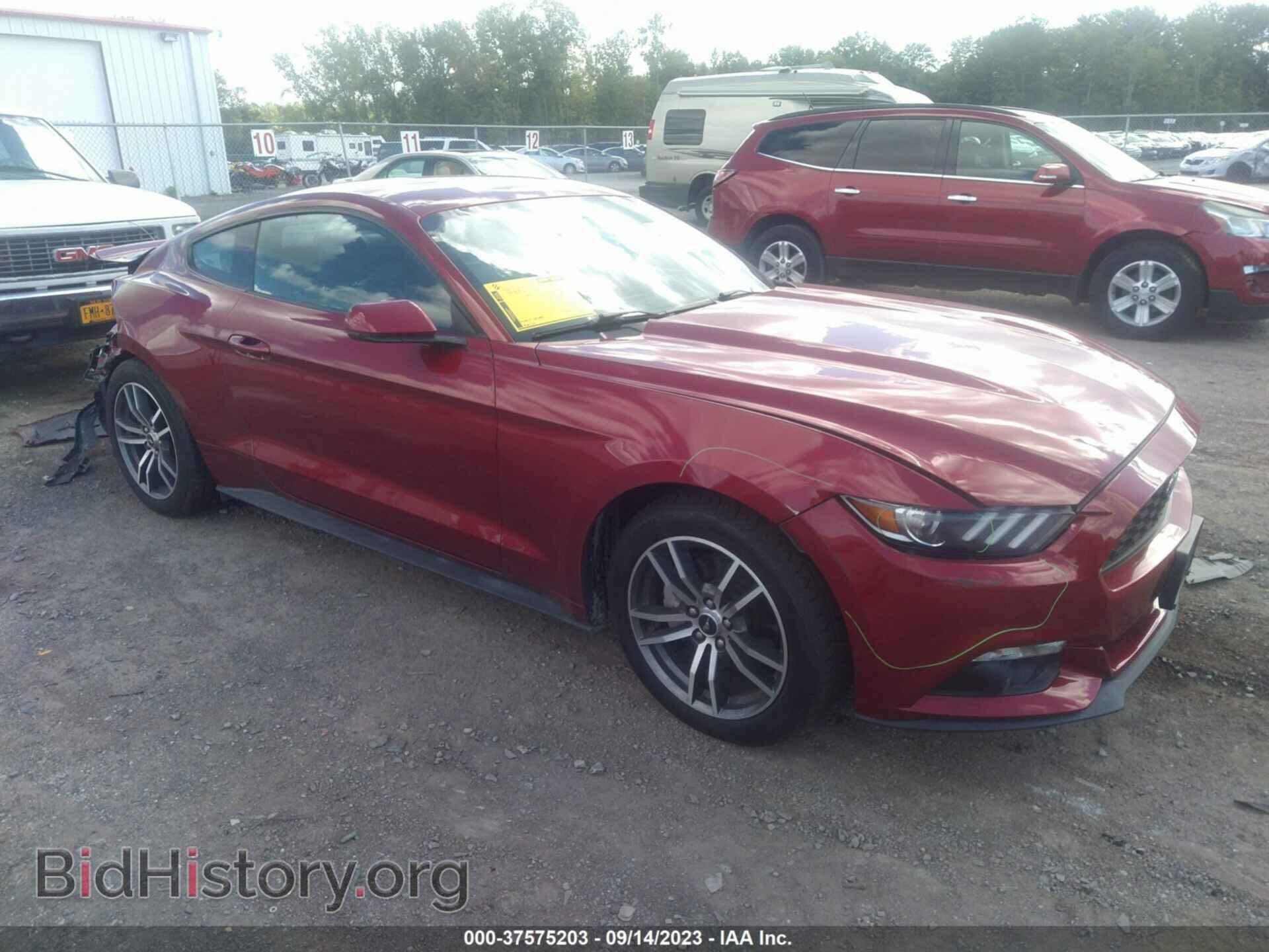 Фотография 1FA6P8TH2F5329323 - FORD MUSTANG 2015