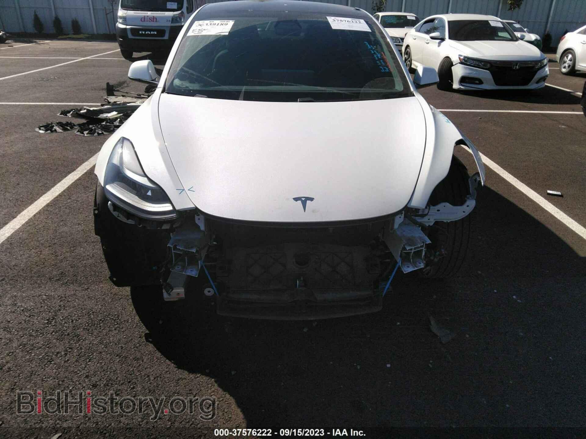 2021 TESLA MODEL 3 - VIN: 5YJ3E1EA5MF022041 - Фото 12