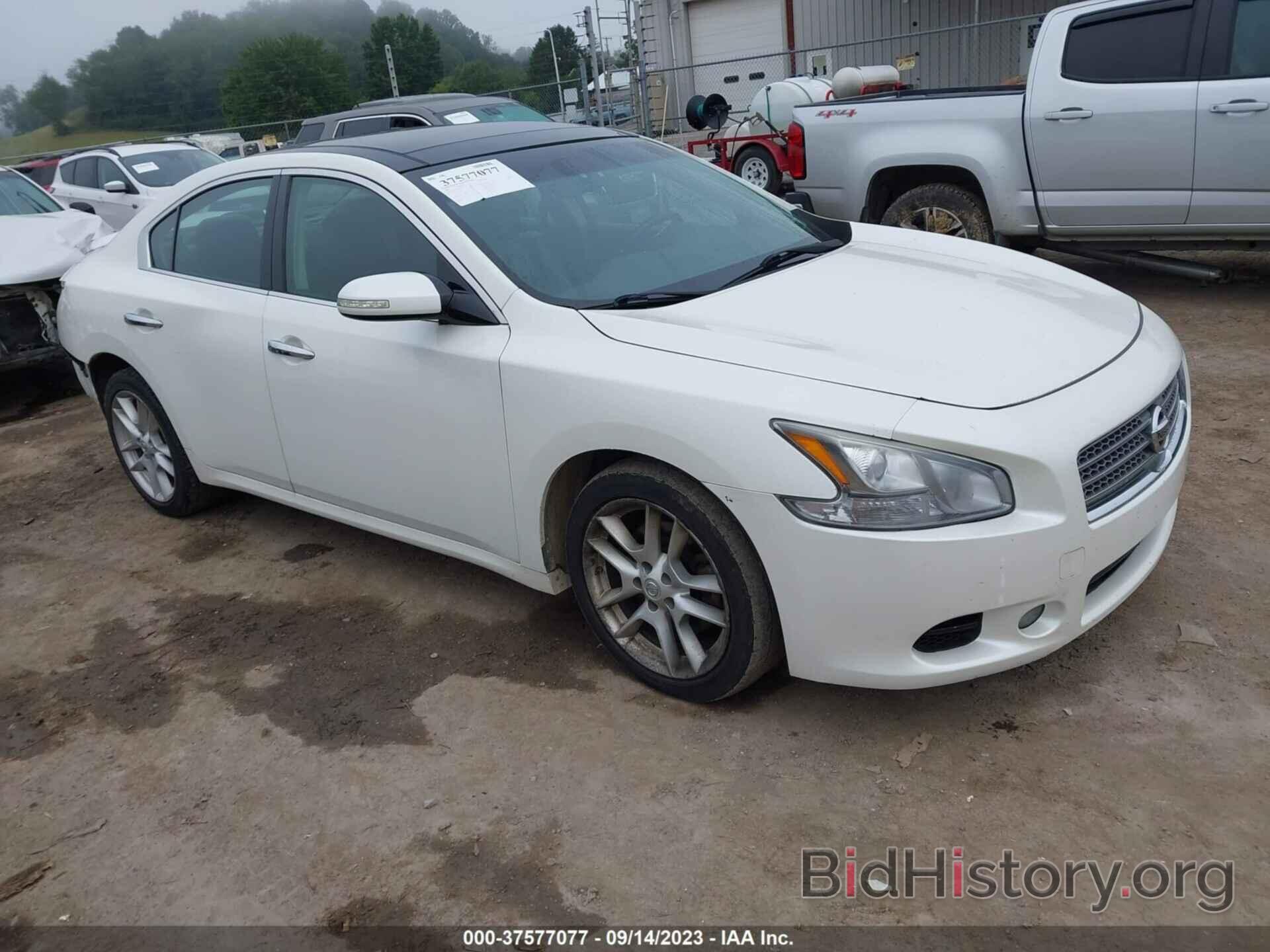 Photo 1N4AA51E29C844311 - NISSAN MAXIMA 2009