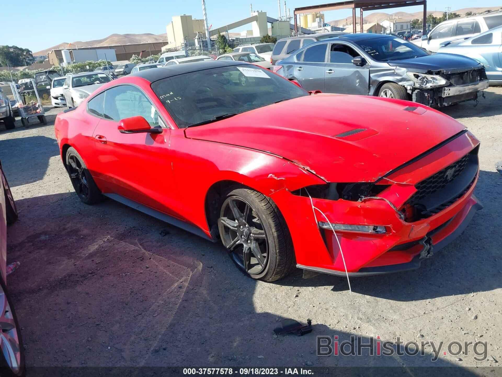 Photo 1FA6P8TH8K5131100 - FORD MUSTANG 2019
