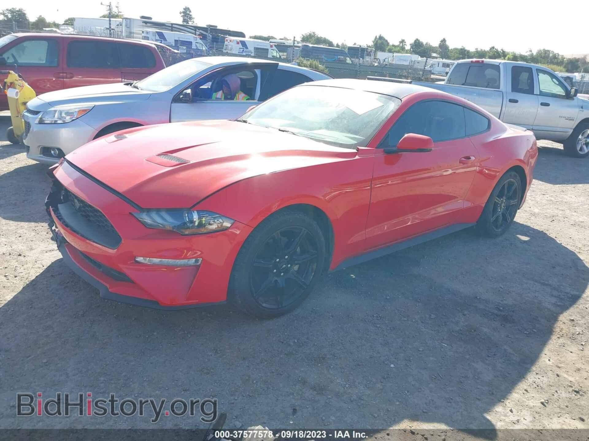 2019 FORD MUSTANG - VIN: 1FA6P8TH8K5131100 - Фото 2