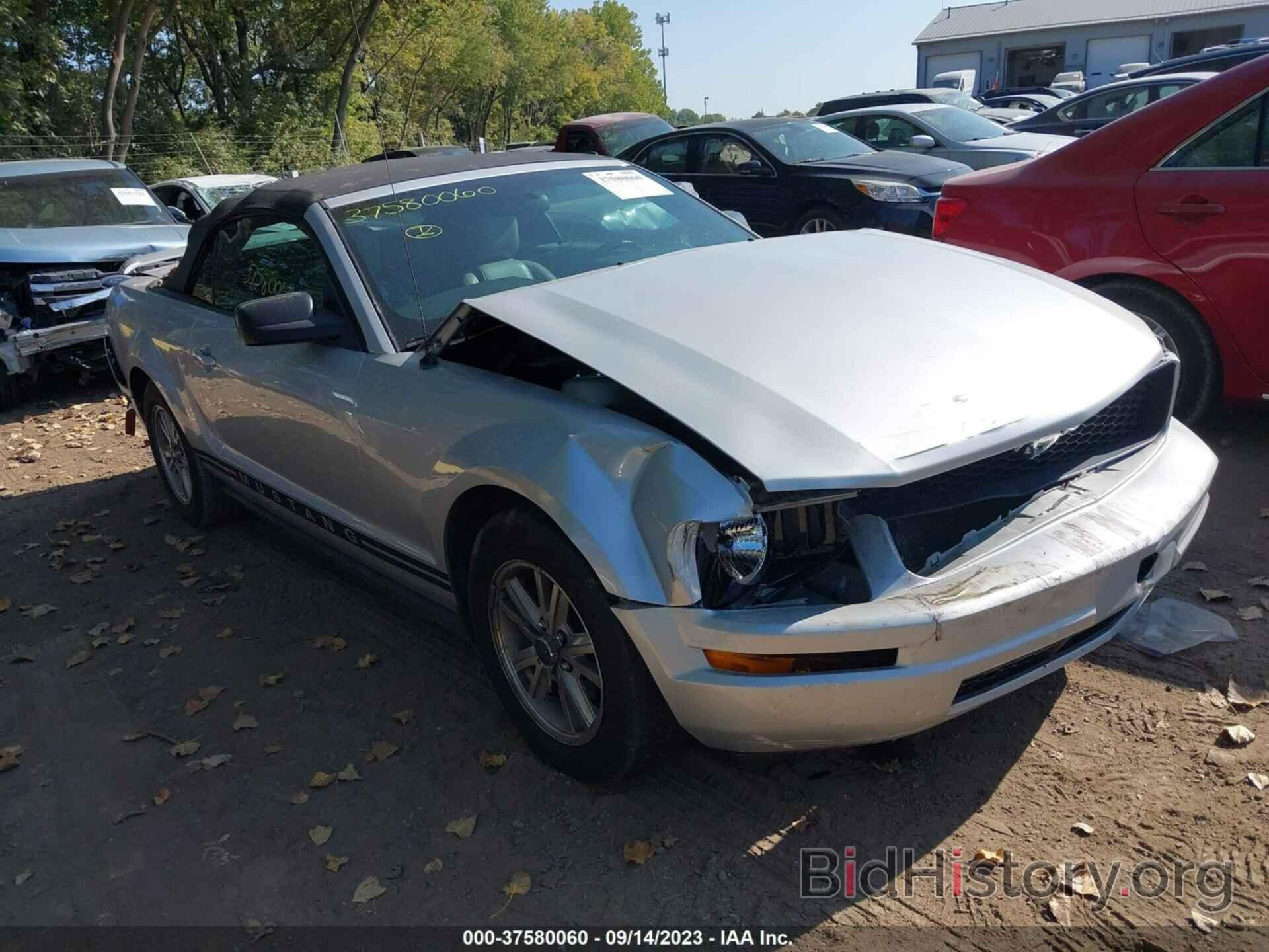 Photo 1ZVFT84N265189040 - FORD MUSTANG 2006