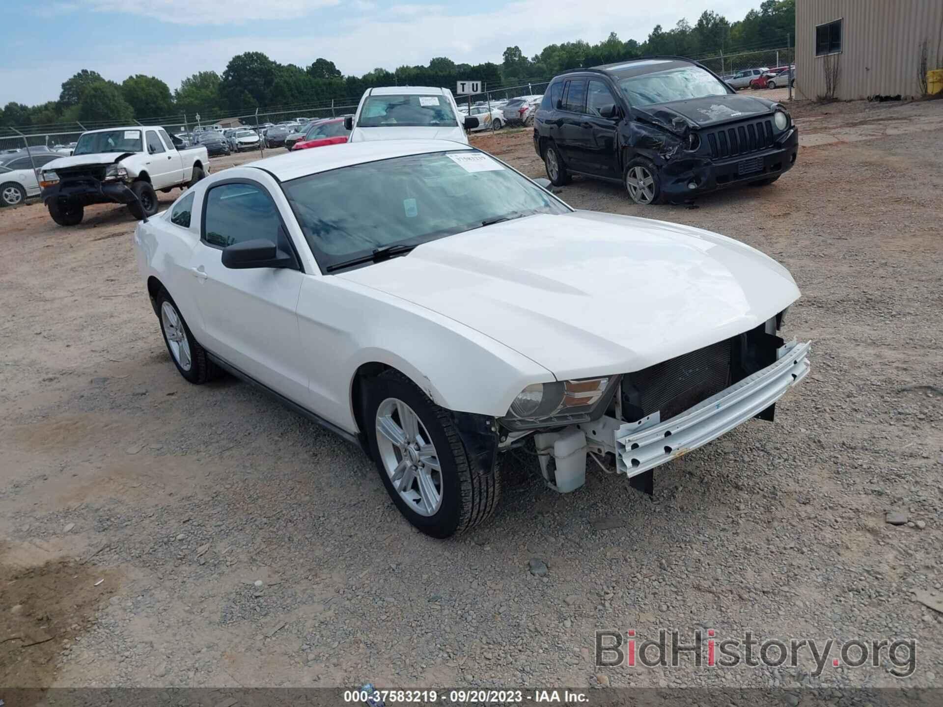 Photo 1ZVBP8AN6A5105611 - FORD MUSTANG 2010