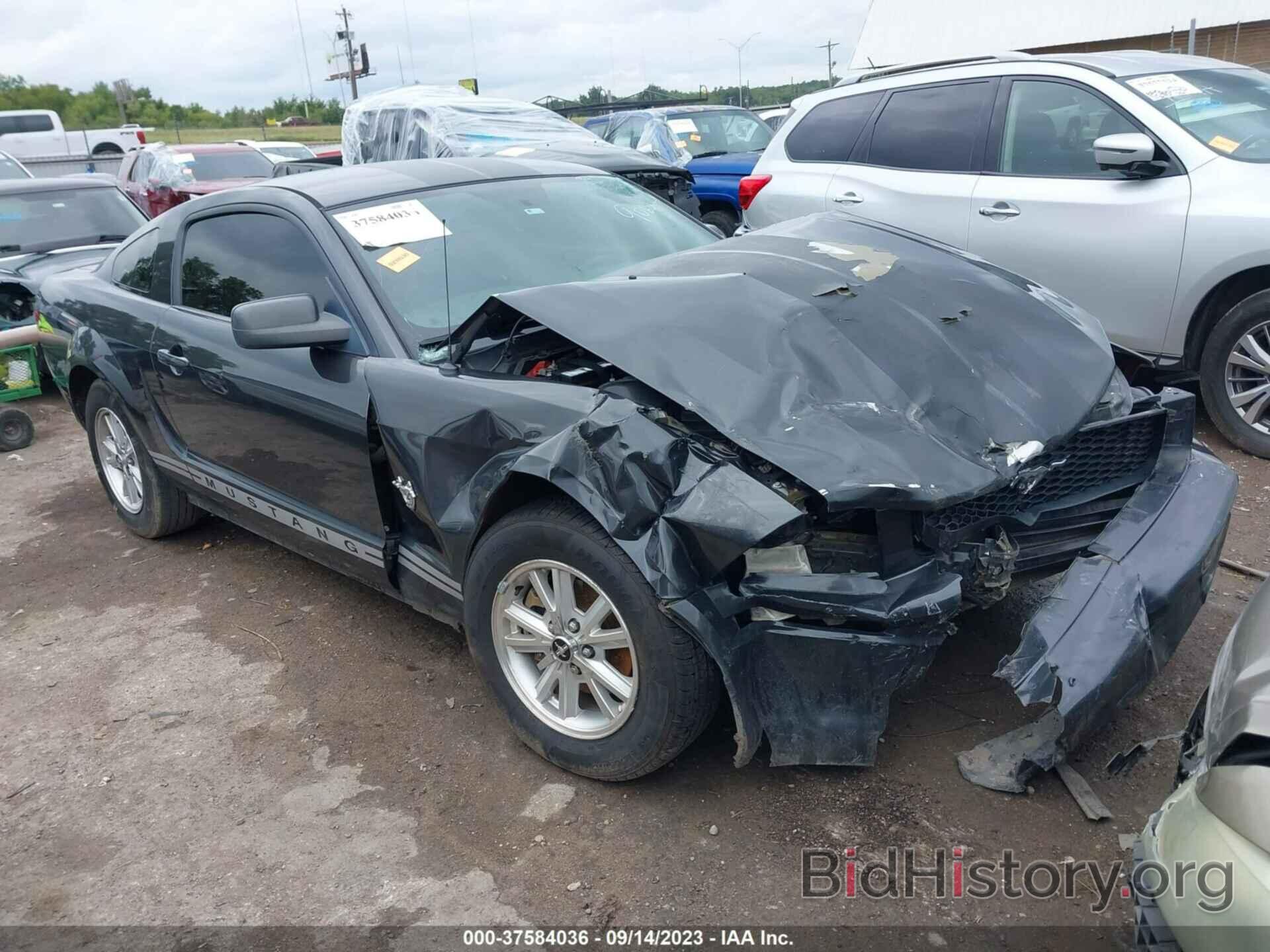 Photo 1ZVHT80N495139064 - FORD MUSTANG 2009