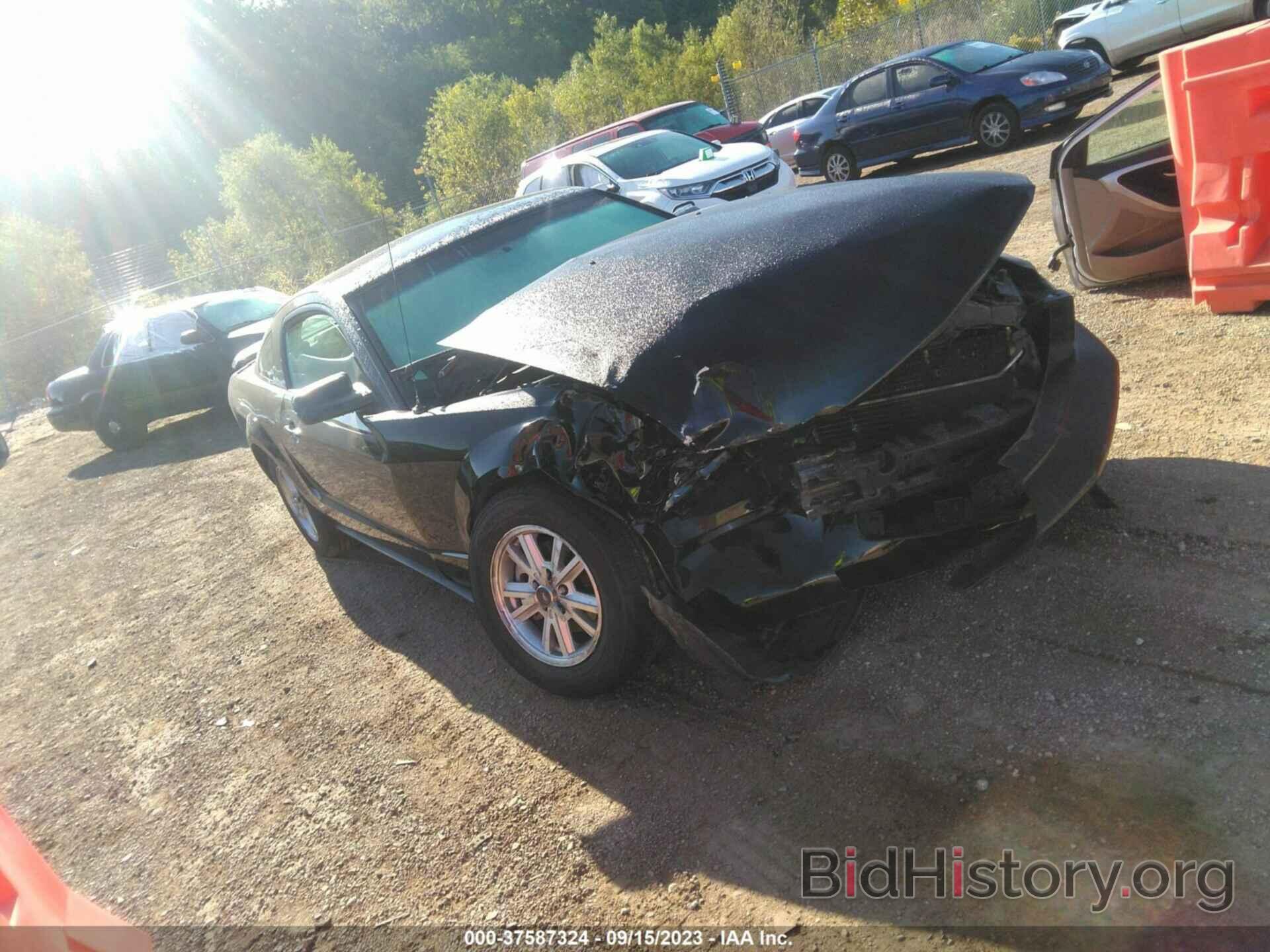 Photo 1ZVHT80N385105020 - FORD MUSTANG 2008