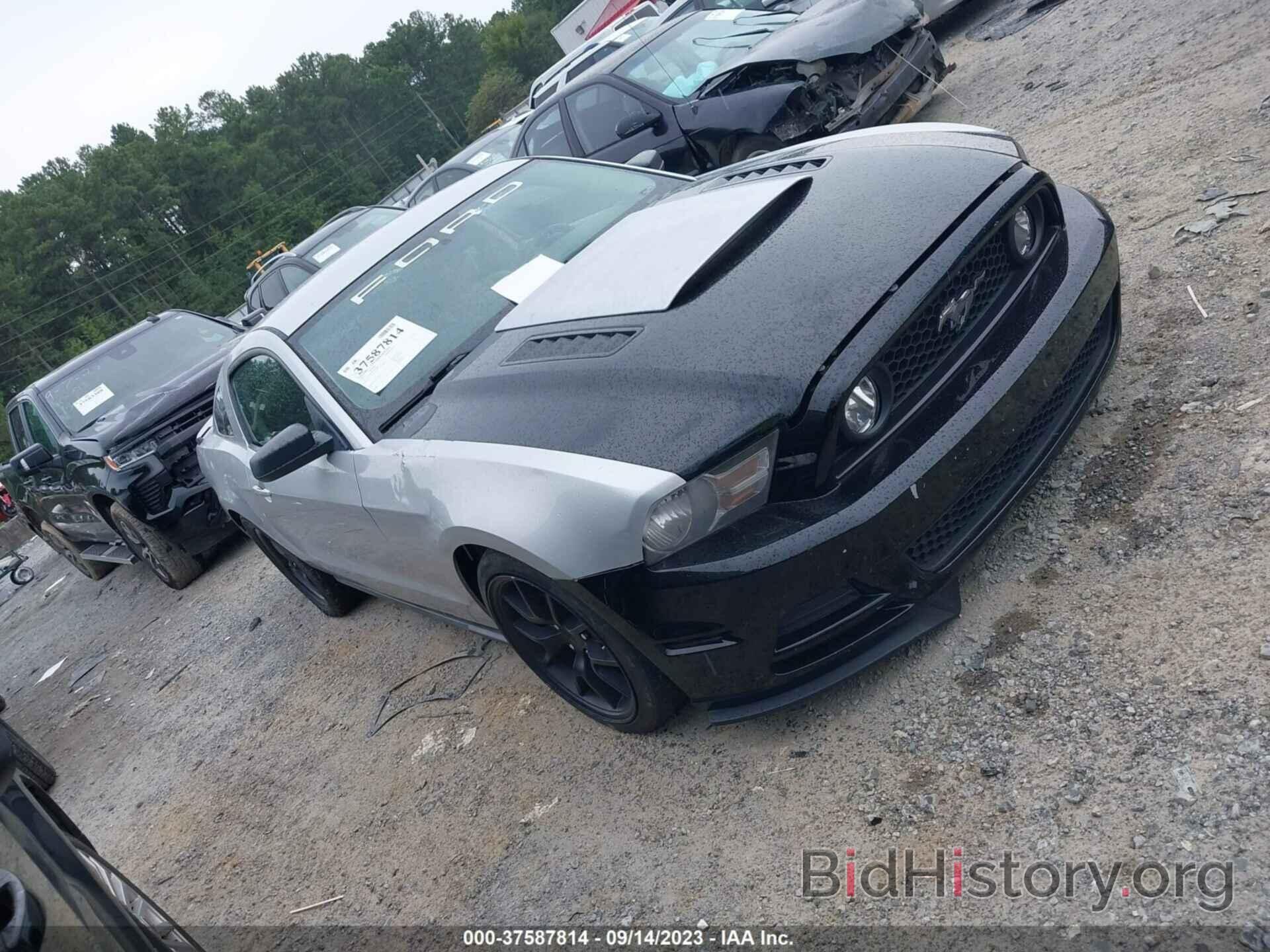Photo 1ZVBP8AN4A5123802 - FORD MUSTANG 2010
