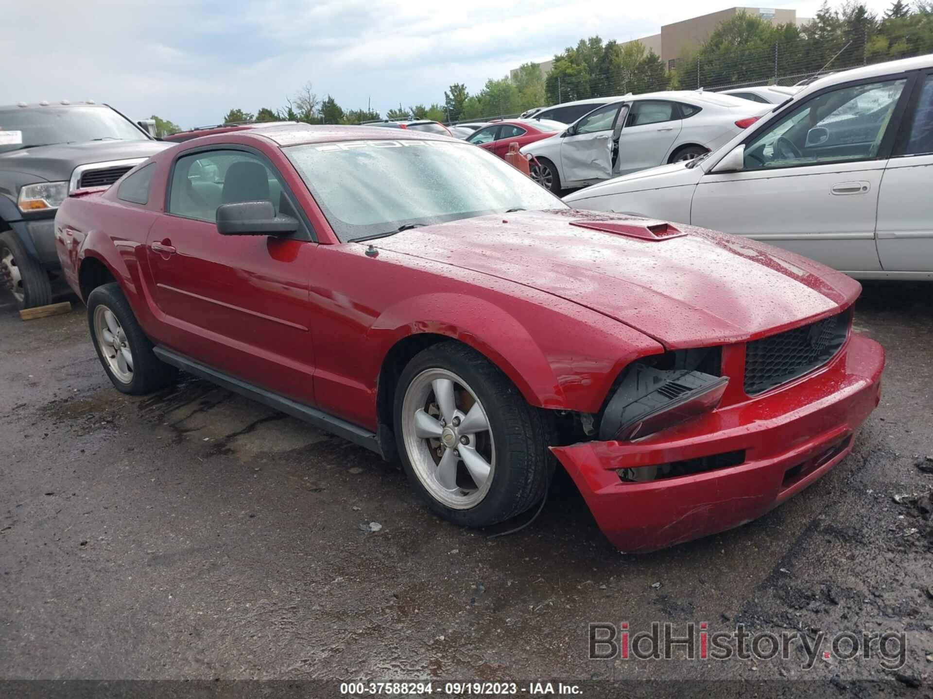 Photo 1ZVHT80N685168869 - FORD MUSTANG 2008