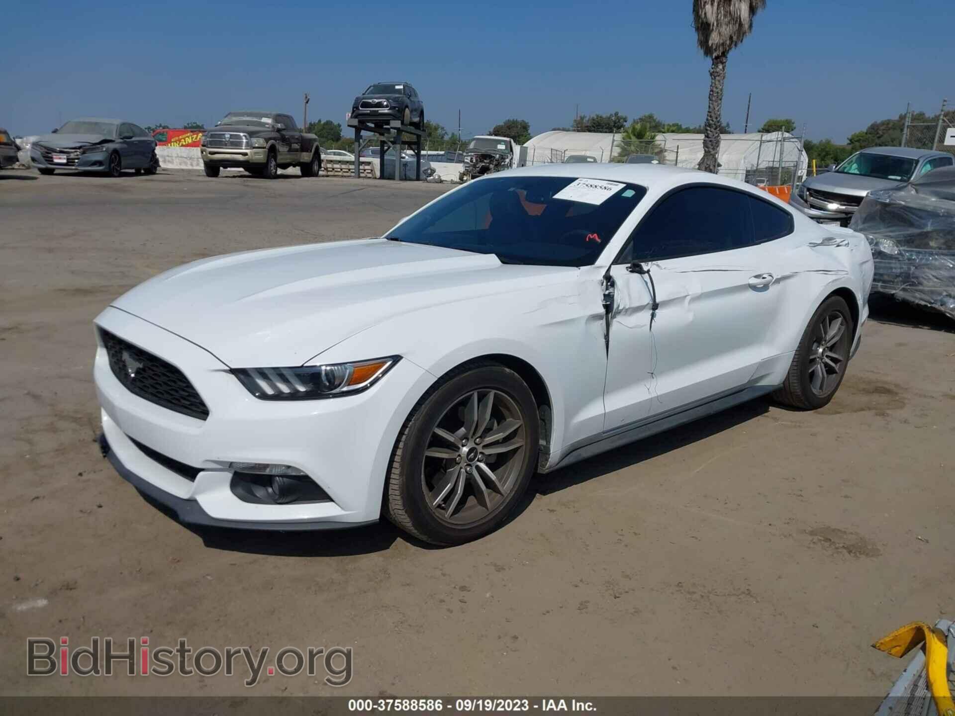 2017 FORD MUSTANG - VIN: 1FA6P8TH7H5221394 - Фото 2
