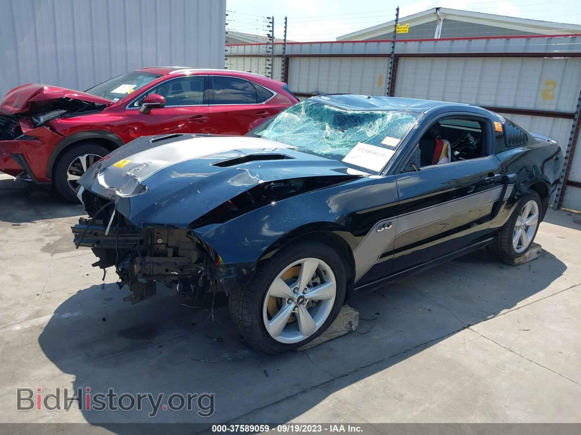 2013 FORD MUSTANG - VIN: 1ZVBP8CF4D5262077 - Фото 2