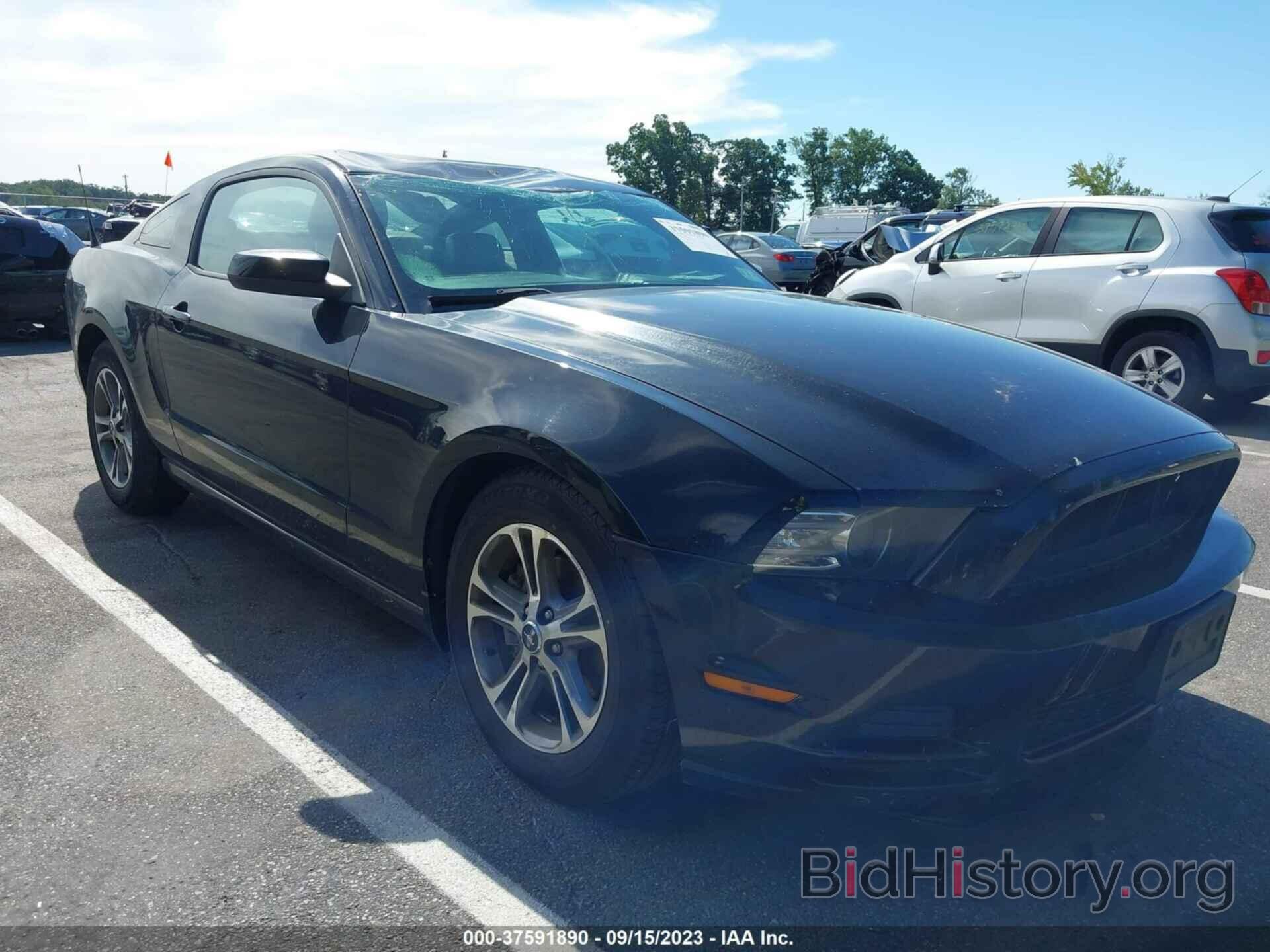 Photo 1ZVBP8AM2E5266986 - FORD MUSTANG 2014