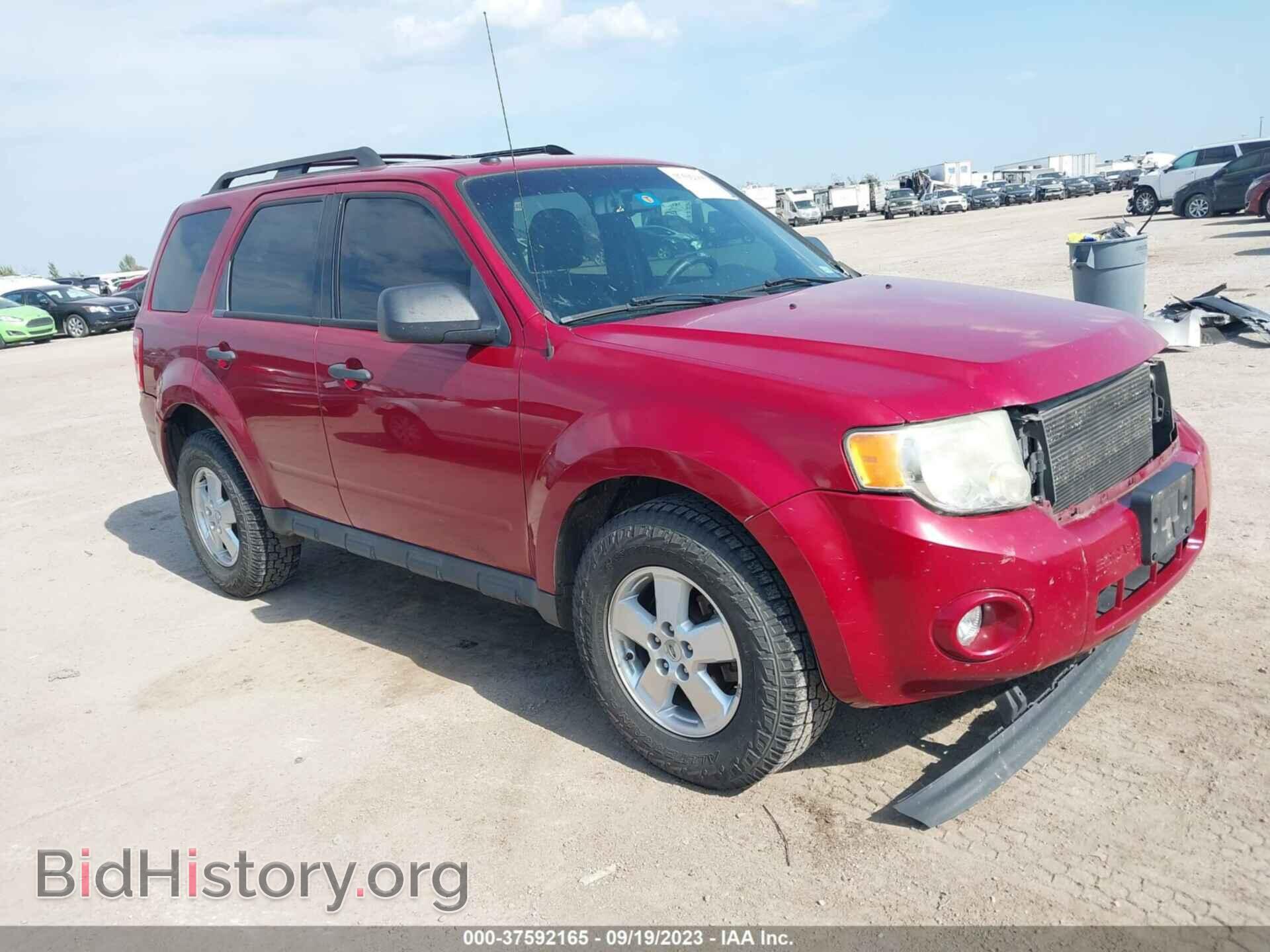 Фотография 1FMCU0DG0BKA81058 - FORD ESCAPE 2011