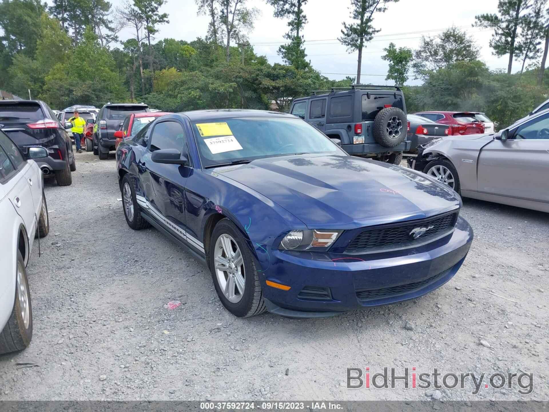 Photo 1ZVBP8AN8A5137749 - FORD MUSTANG 2010
