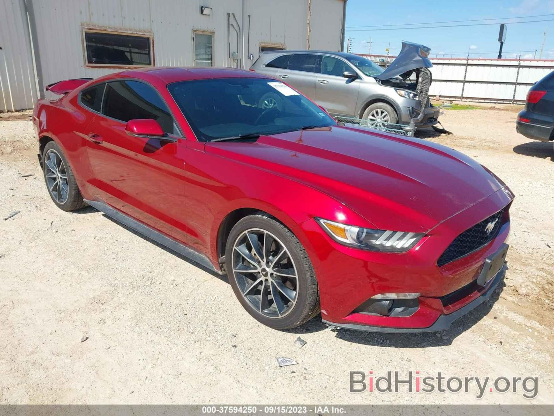 Photo 1FA6P8THXF5358519 - FORD MUSTANG 2015