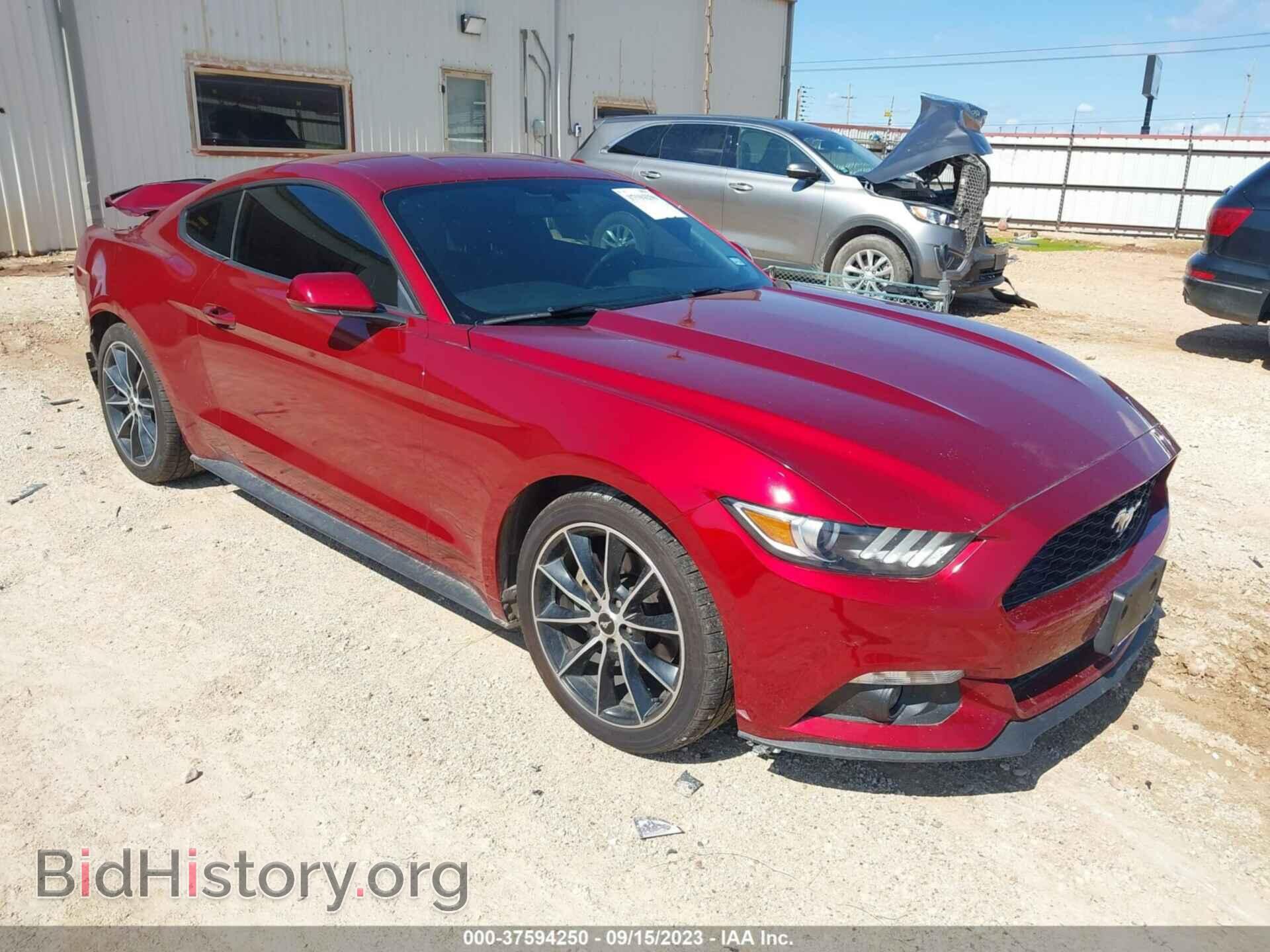 Фотография 1FA6P8THXF5358519 - FORD MUSTANG 2015