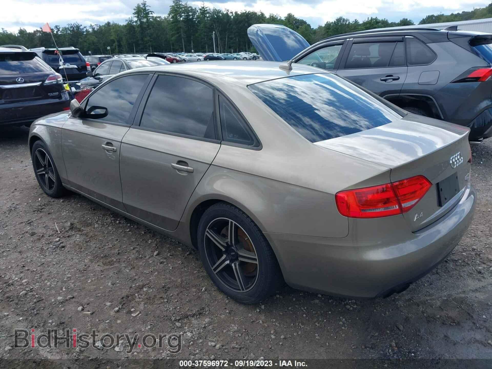 2010 AUDI A4 - VIN: WAUBFAFL1AN005434 - Фото 3