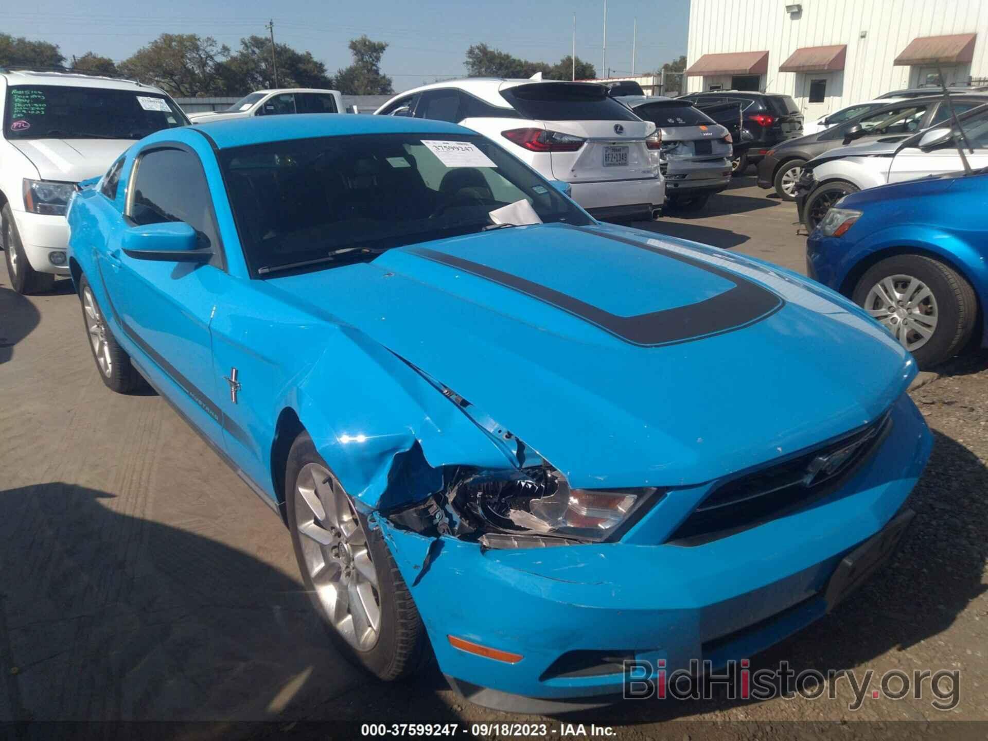 Photo 1ZVBP8AN4A5149607 - FORD MUSTANG 2010