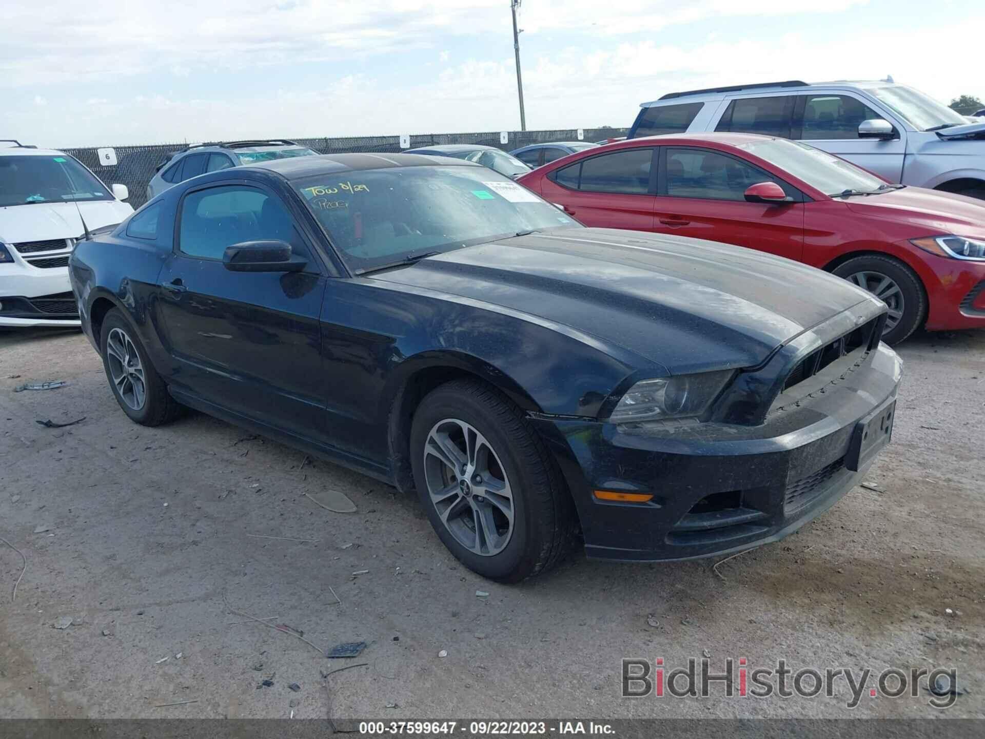 Photo 1ZVBP8AM2E5281598 - FORD MUSTANG 2014