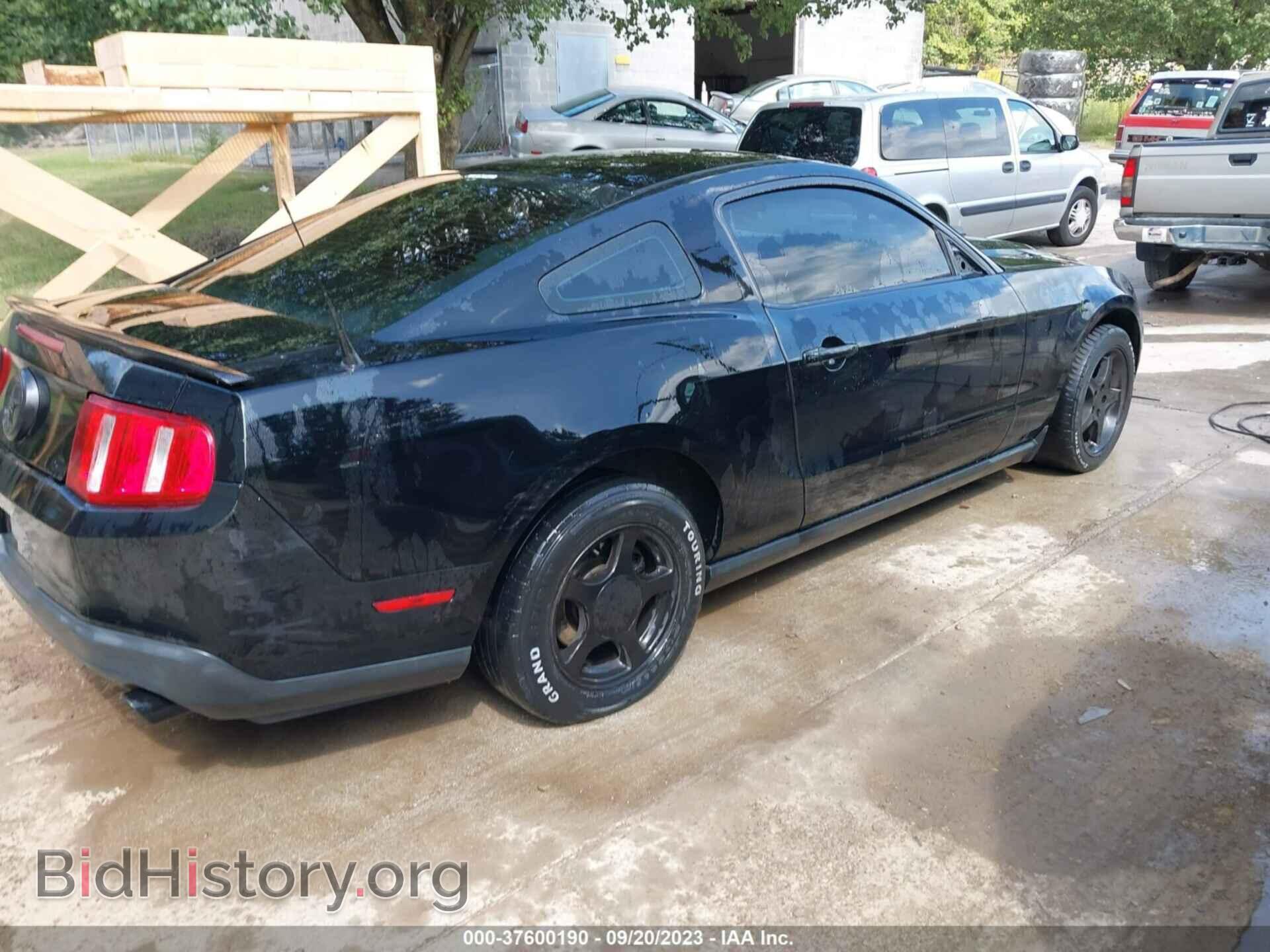 2011 FORD MUSTANG - VIN: 1ZVBP8AM0B5149029 - Фото 4