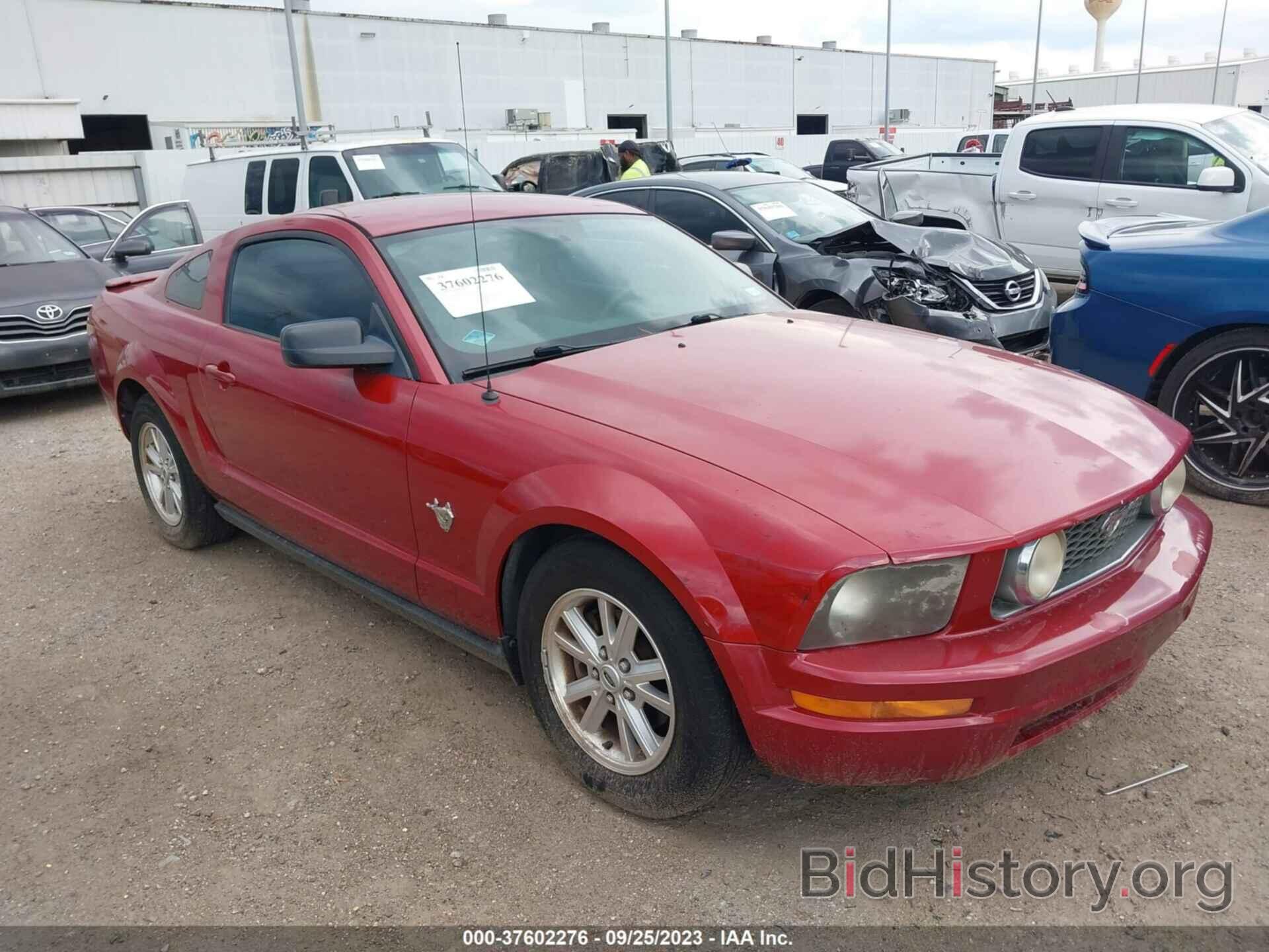 Photo 1ZVHT80N495105576 - FORD MUSTANG 2009