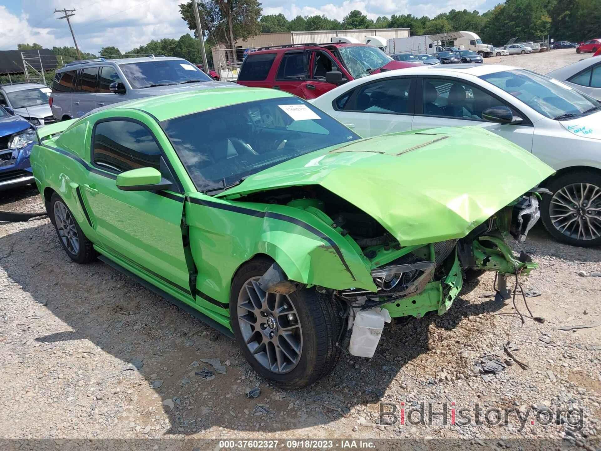 Photo 1ZVBP8AM2D5263097 - FORD MUSTANG 2013