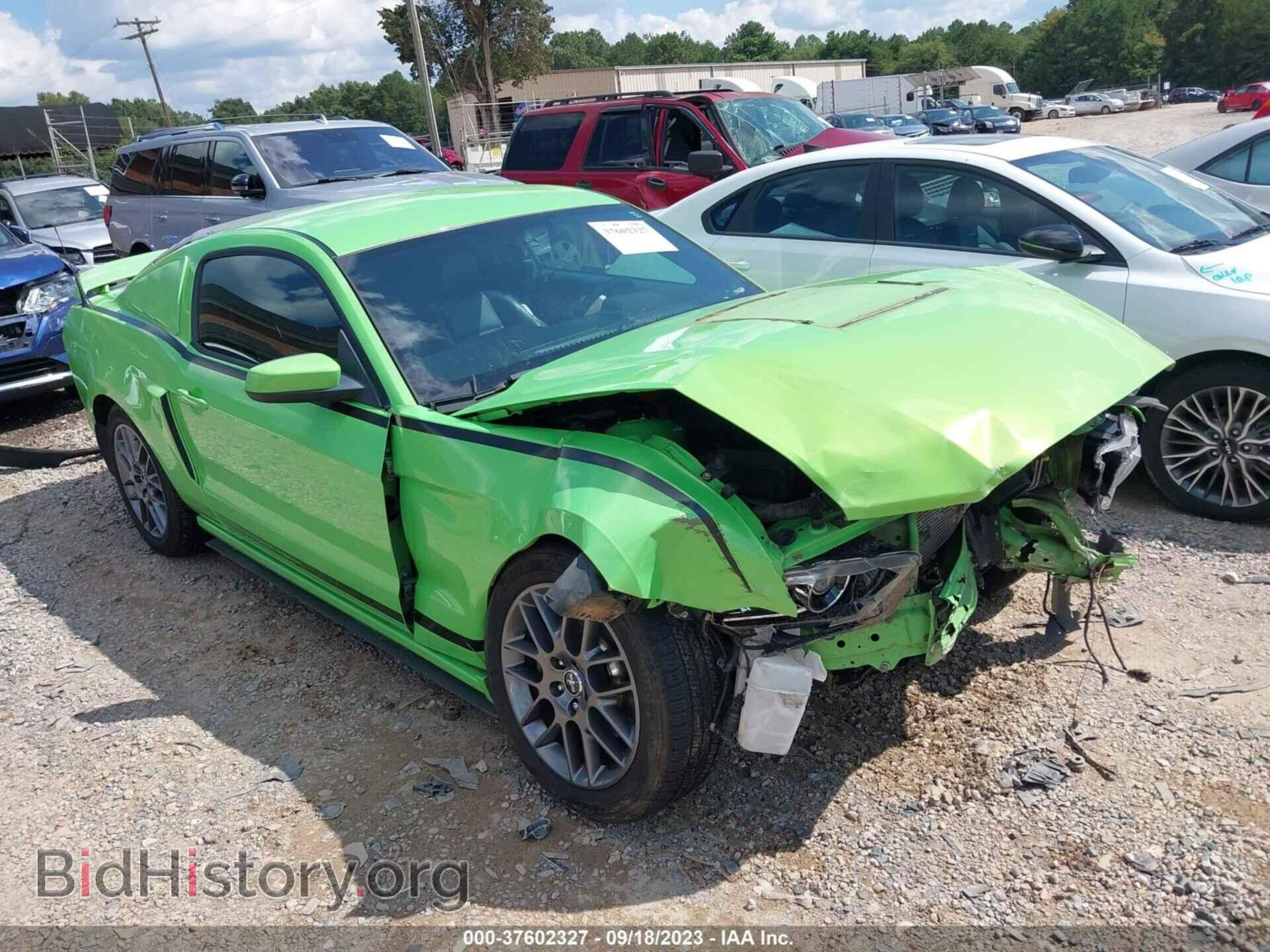 Фотография 1ZVBP8AM2D5263097 - FORD MUSTANG 2013